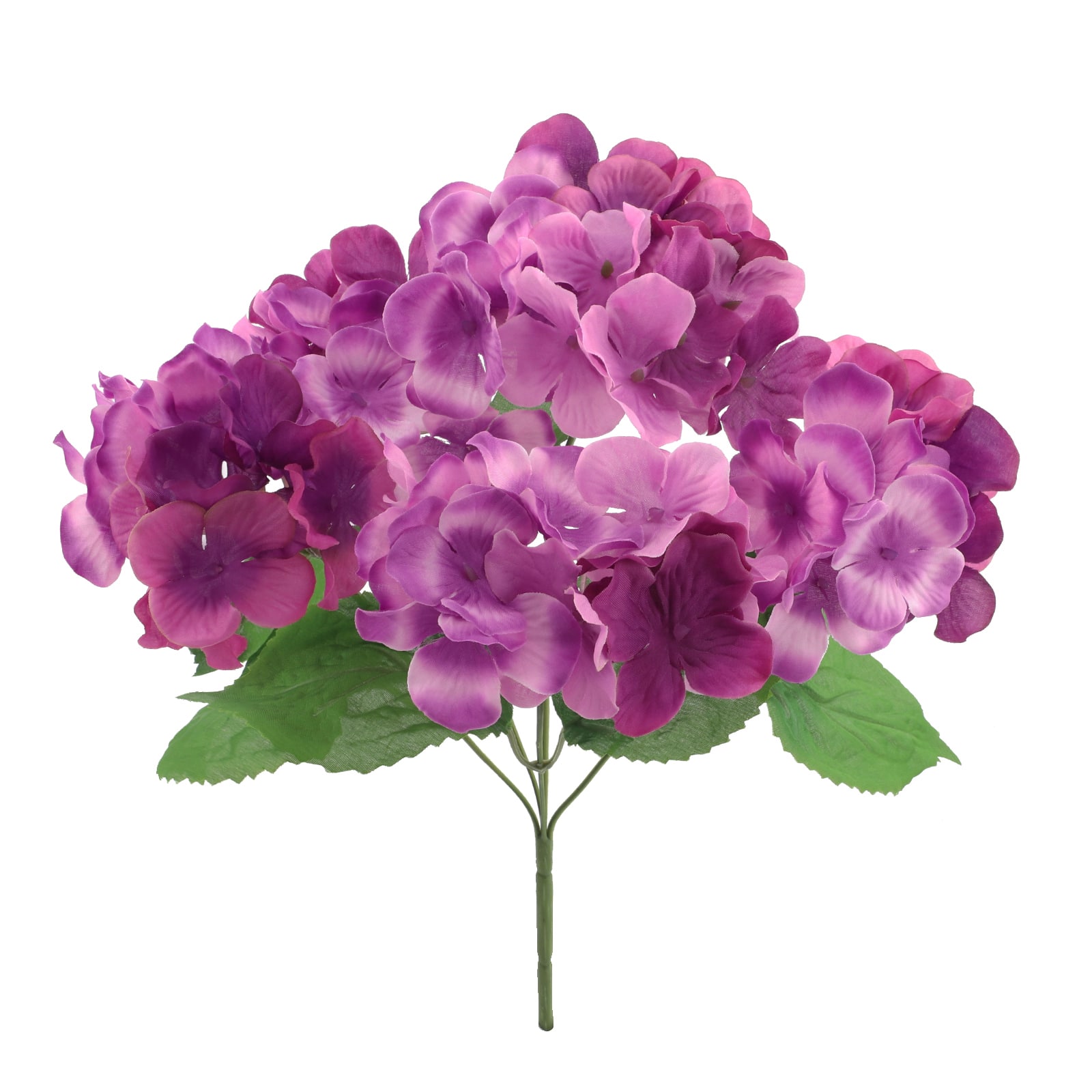 Image of Lilac hydrangea bush