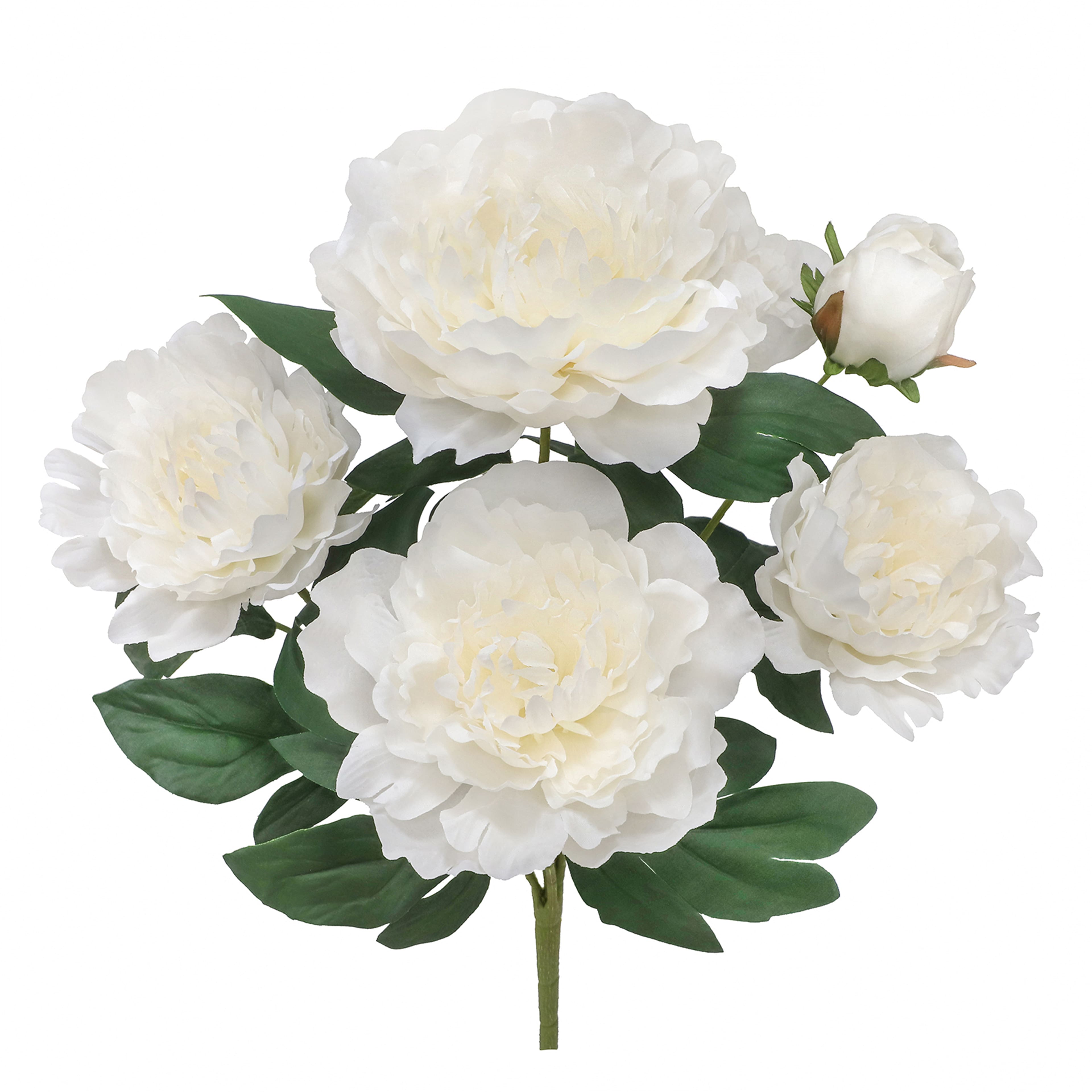 19.5&#x22; Peony Bush by Ashland&#xAE;