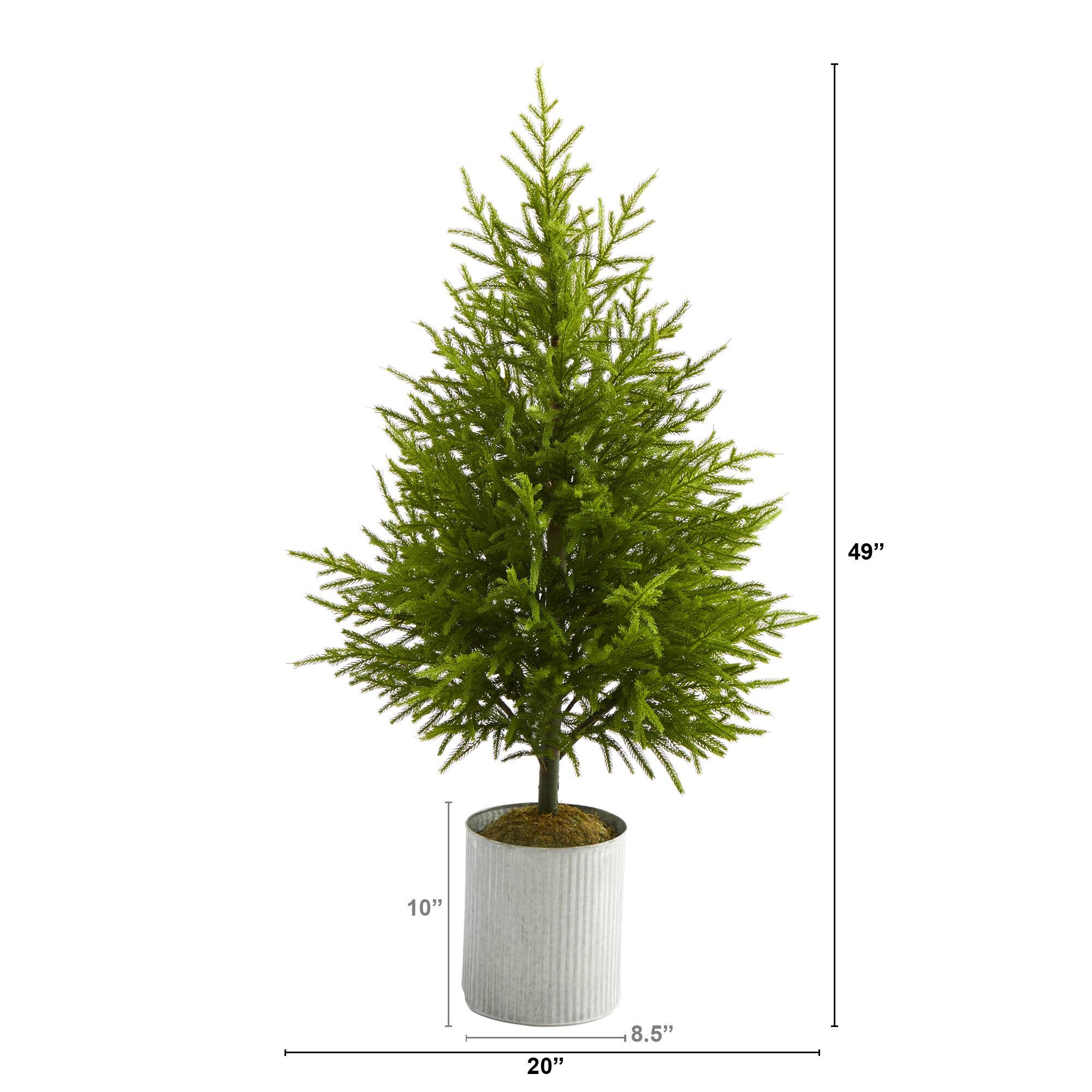 4ft. Unlit Norfolk Island Pine Artificial Christmas Tree