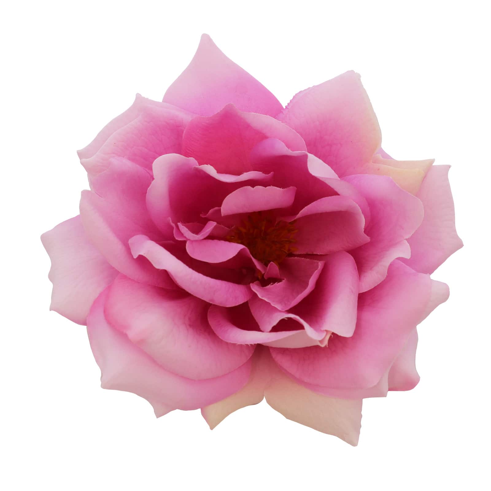 6.5&#x22; Deluxe Open Pink Rose Floral Accent by Ashland&#xAE;