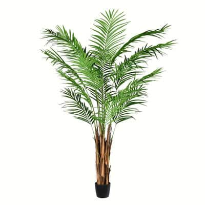 6ft. Potted Giant Areca Palm Tree | Michaels