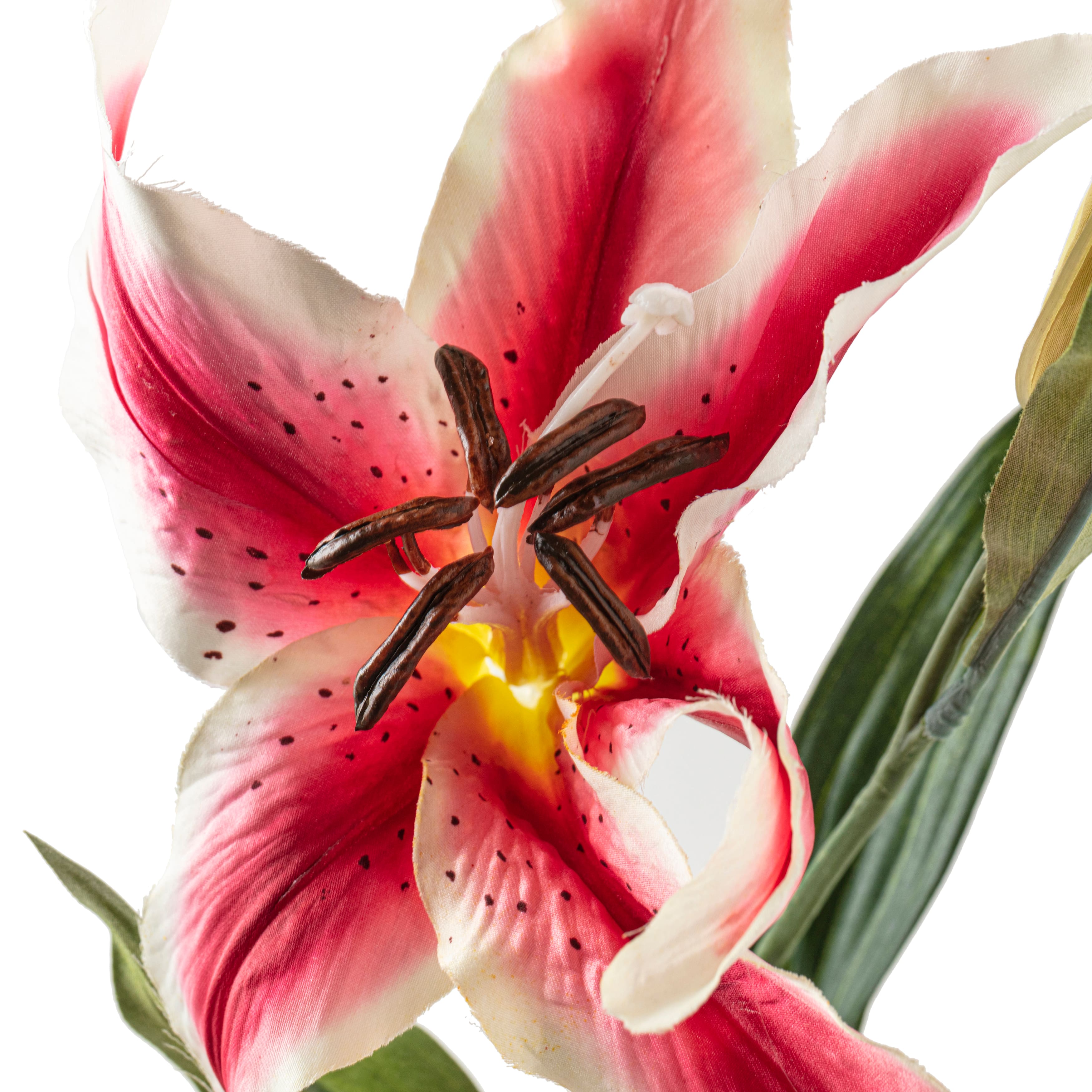 Rubrum Lily Spray by Ashland&#xAE;