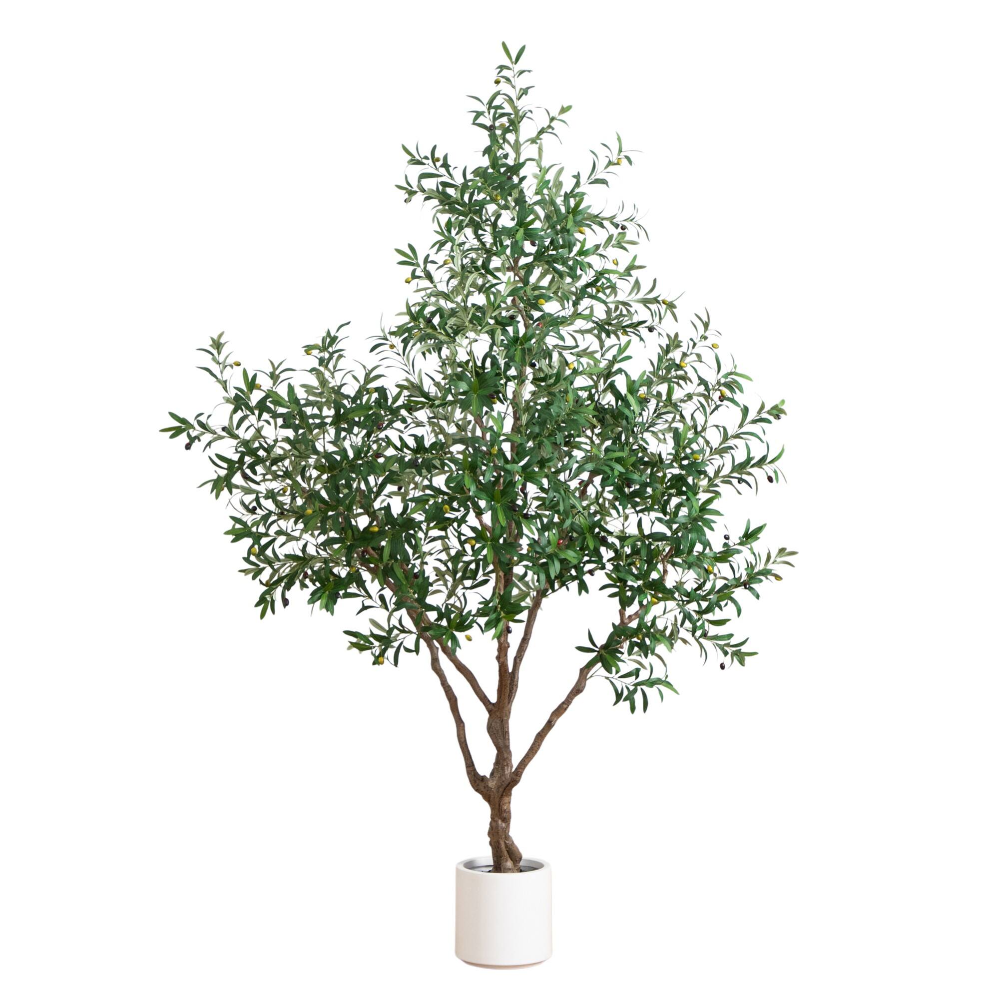 8ft. Artificial Grand Olive Tree in White Decorative Planter