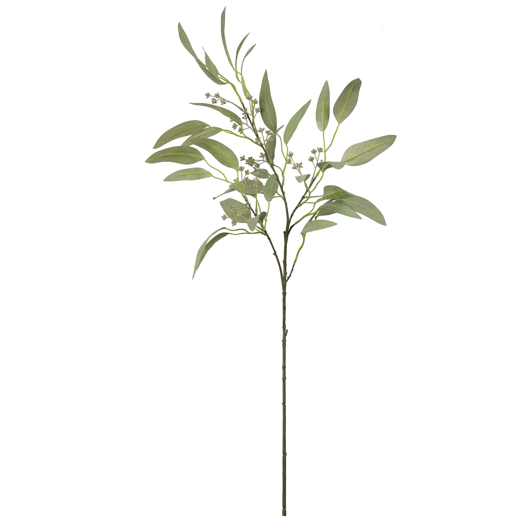 39&#x22; Grey Seeded Eucalyptus Stem by Ashland&#xAE;