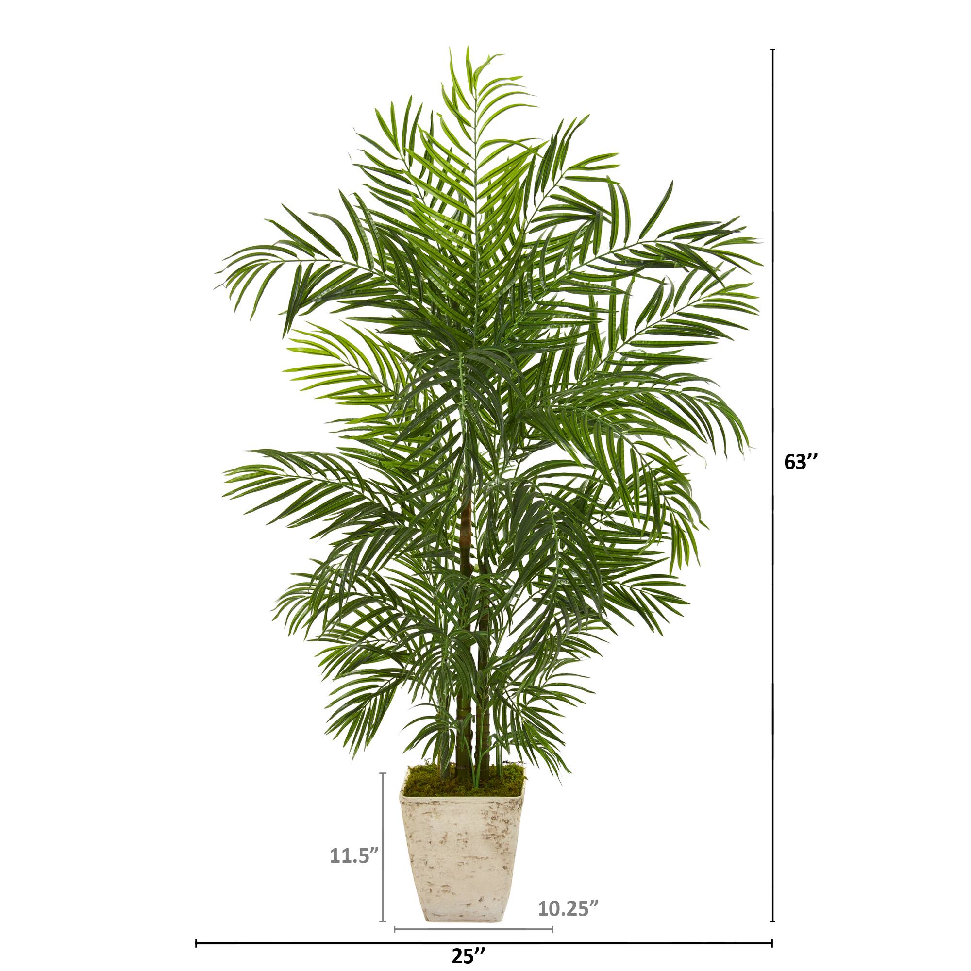 5.3ft. UV Resistant Areca Palm Tree in Country White Planter