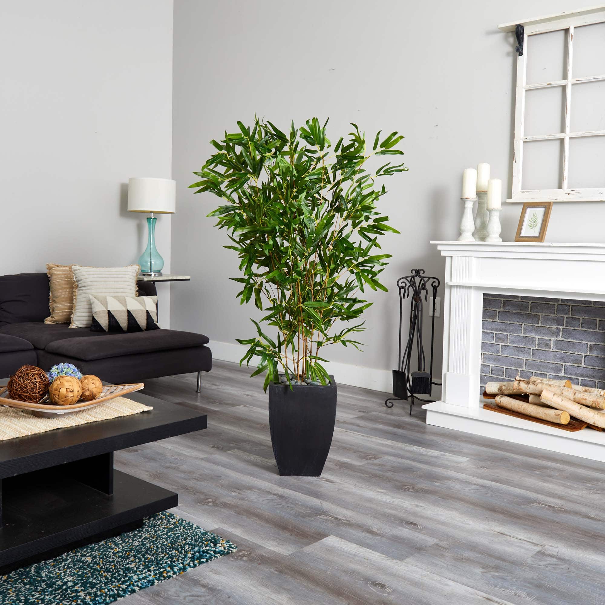5ft. Bamboo Tree in Black Planter