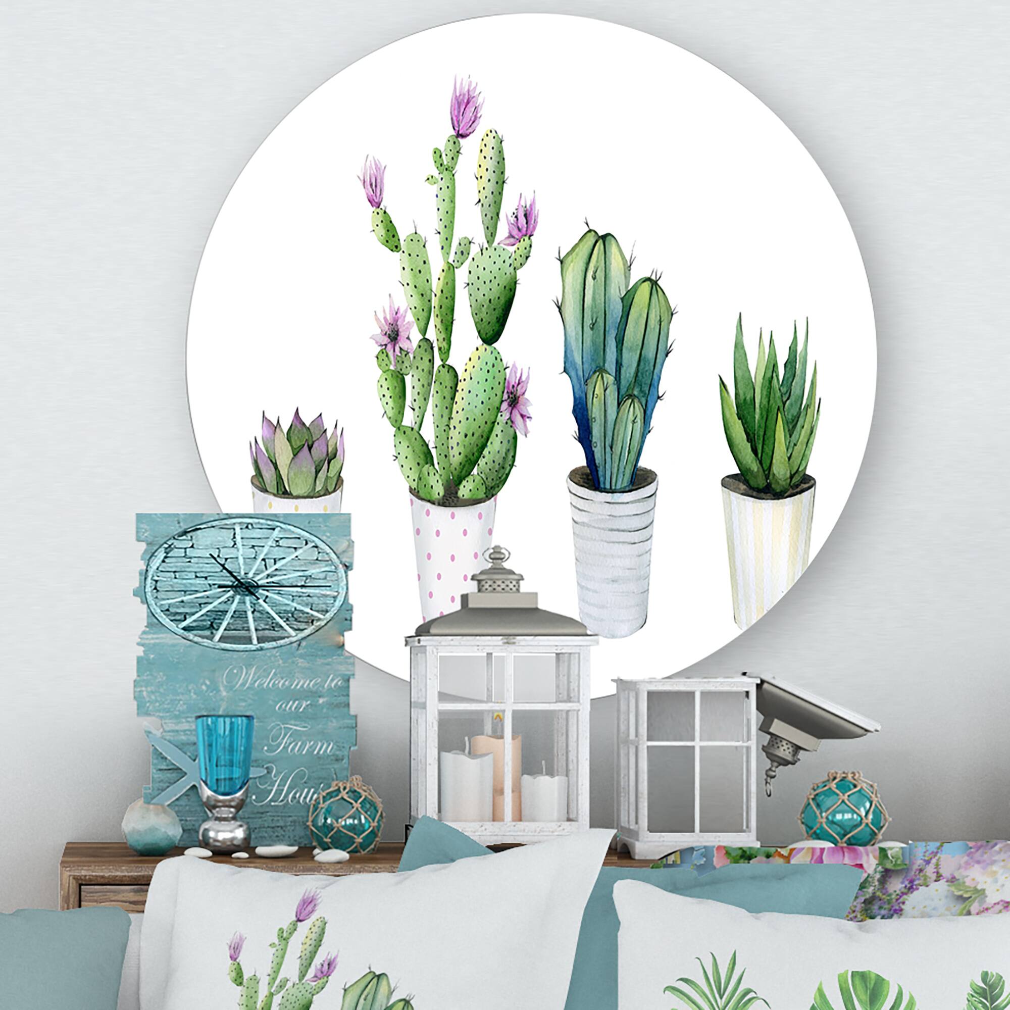 Designart - Cactus Succulent Aloe Vera Home Plants In The Pots