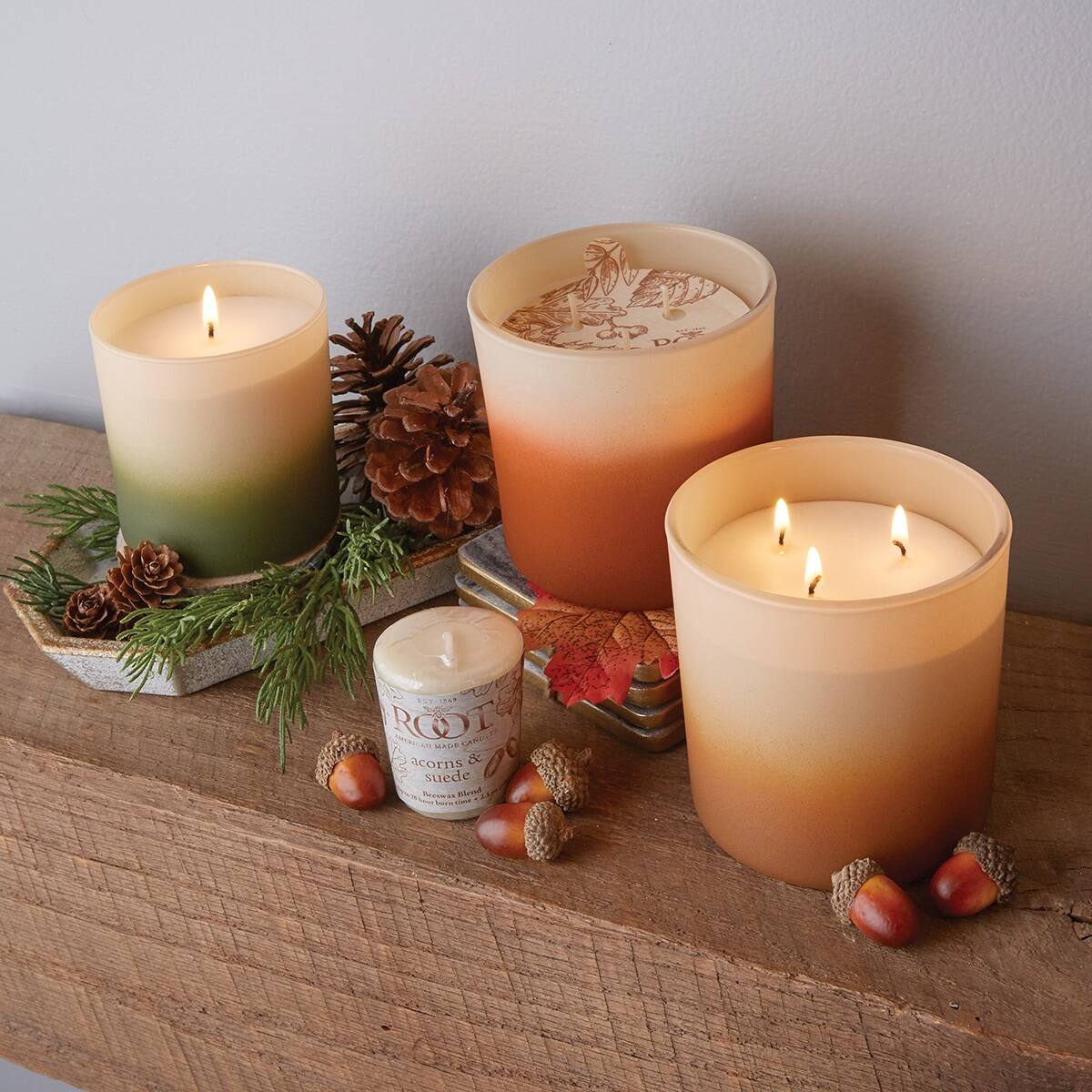 Root Candles Acorns & Suede 3-Wick Scented Beeswax Blend Candle