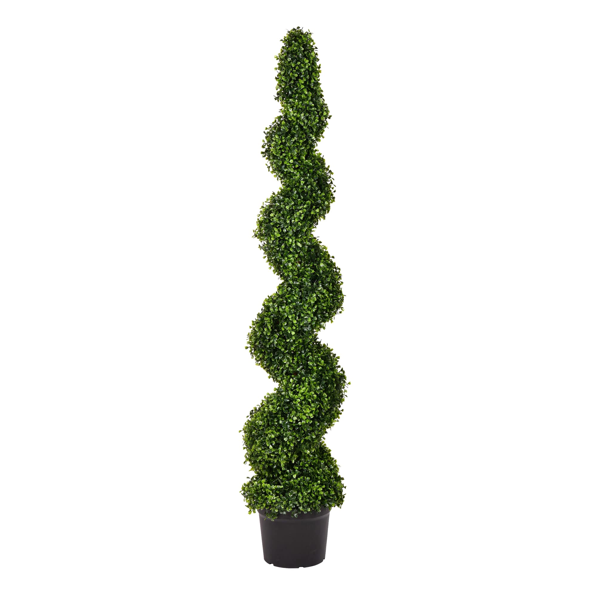 5ft. Potted Green Boxwood Spiral Tree