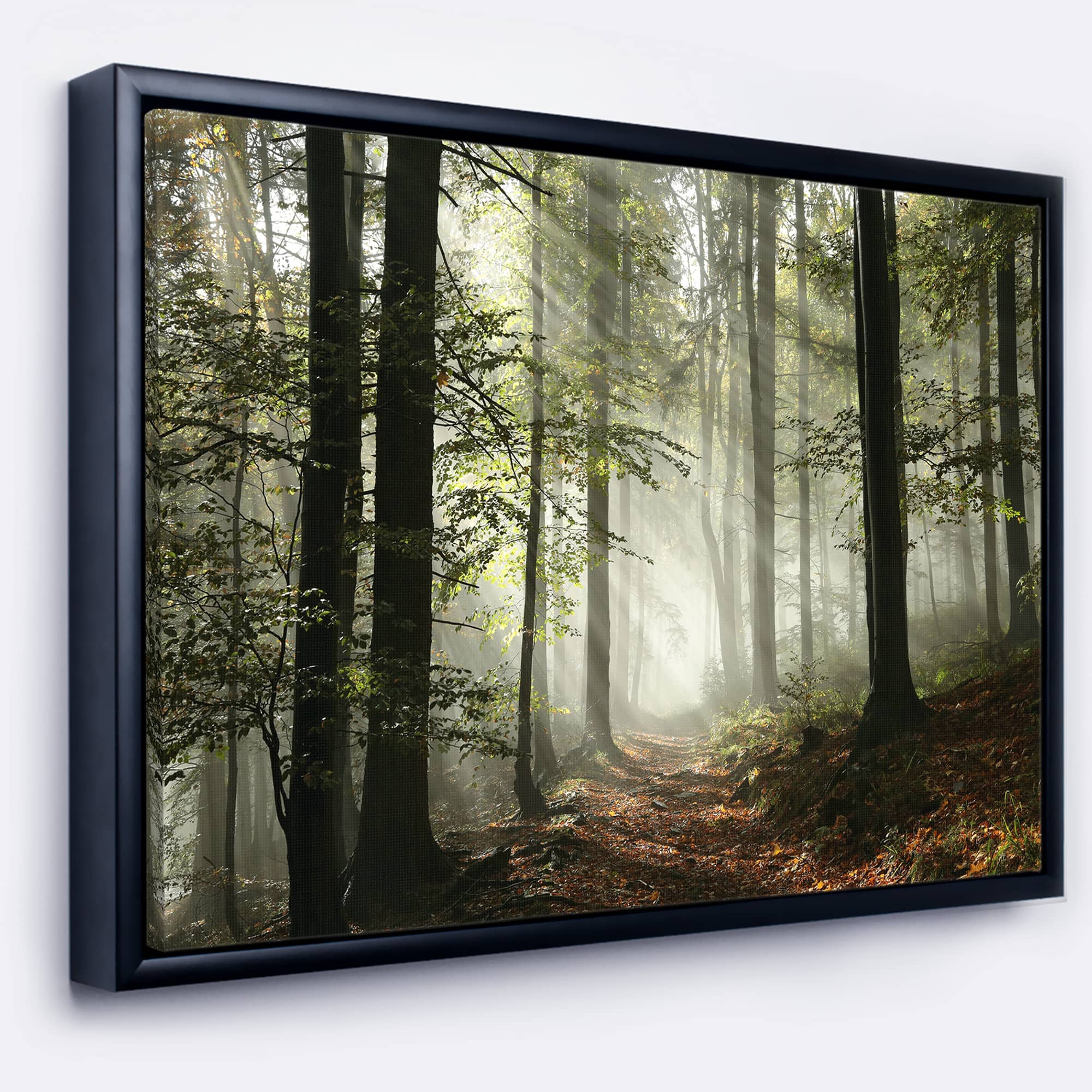 Designart - Light in Dense Fall Forest with Fog - Landscape Art Print Framed Canvas