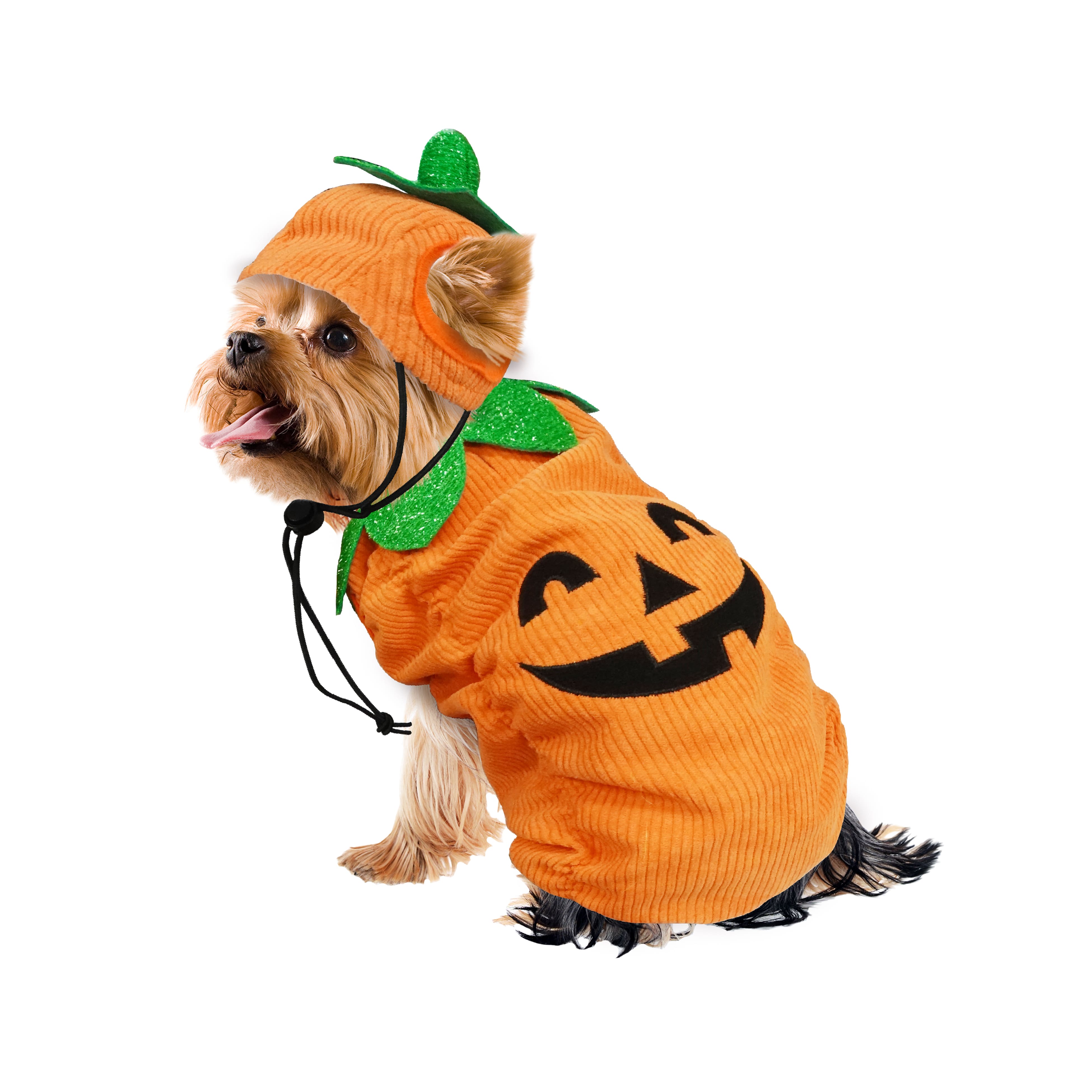 Best Furry Friends Jack-o'-Lantern Pumpkin Pet Costume