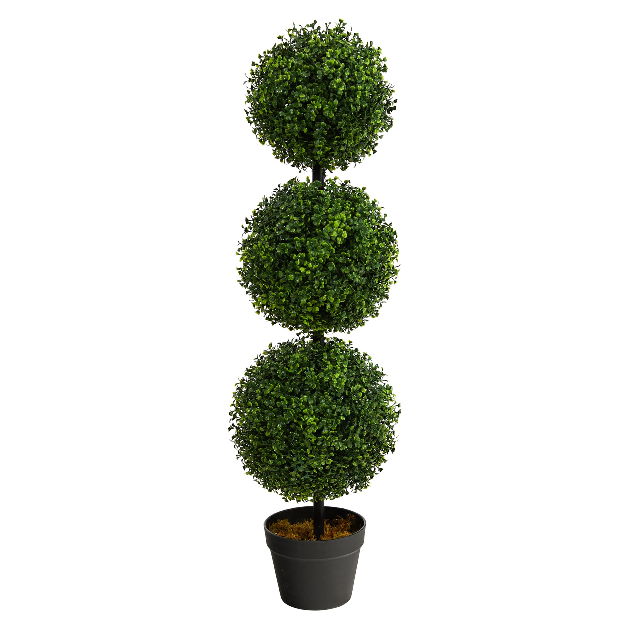 3ft. Potted Boxwood Triple Ball Topiary Tree
