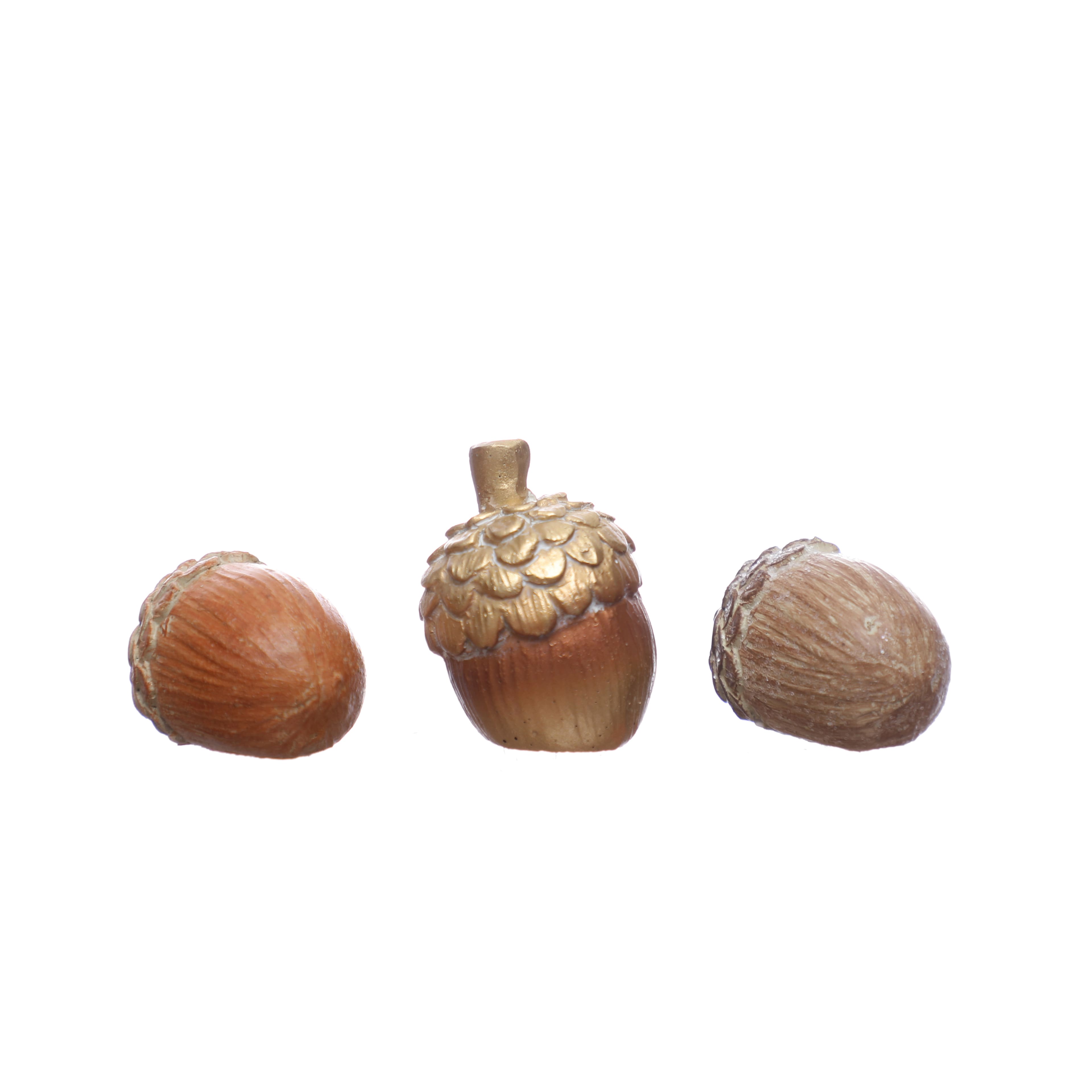 Mini Acorn Set by Ashland&#xAE;