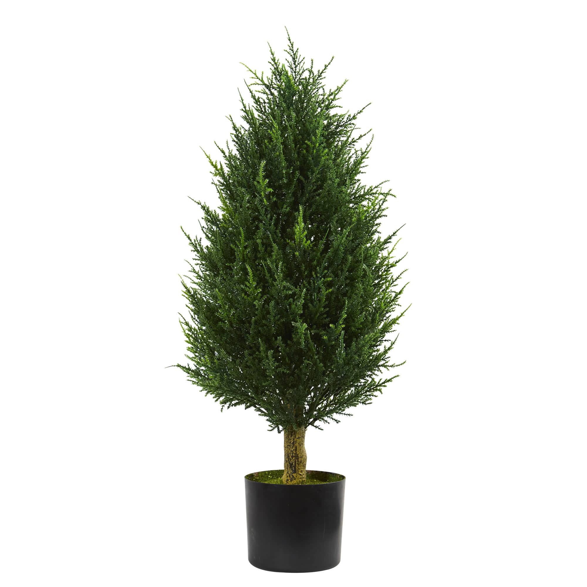 3ft. Potted Cypress Tower Tree