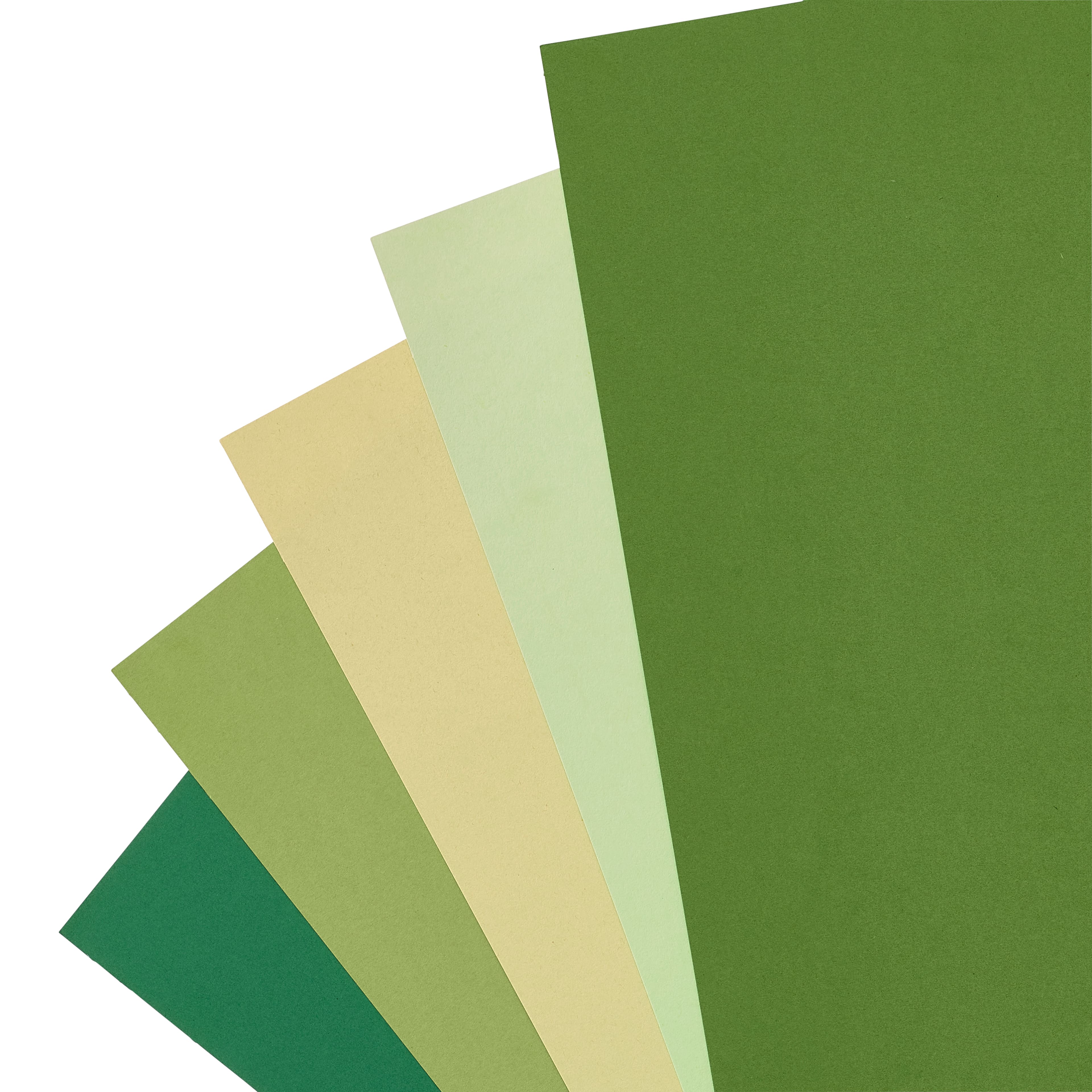 12 Pack: Forest Cardstock Paper Pad by Recollections™, 8.5" x 11"