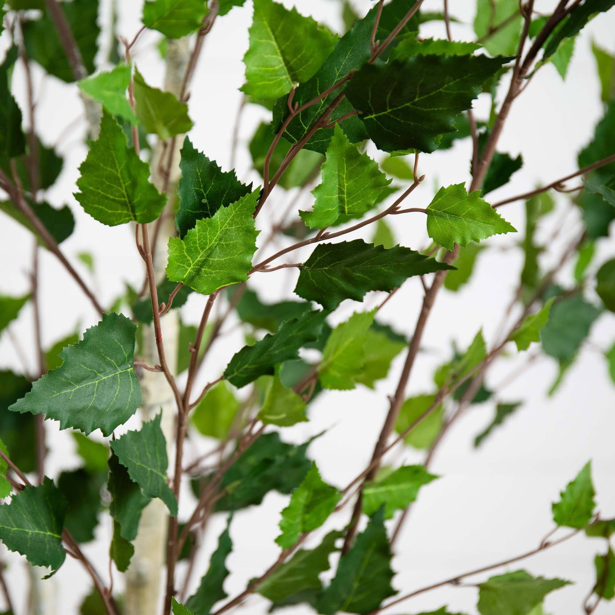 7ft. Potted Green Artificial Birch Tree with Real Touch Leaves