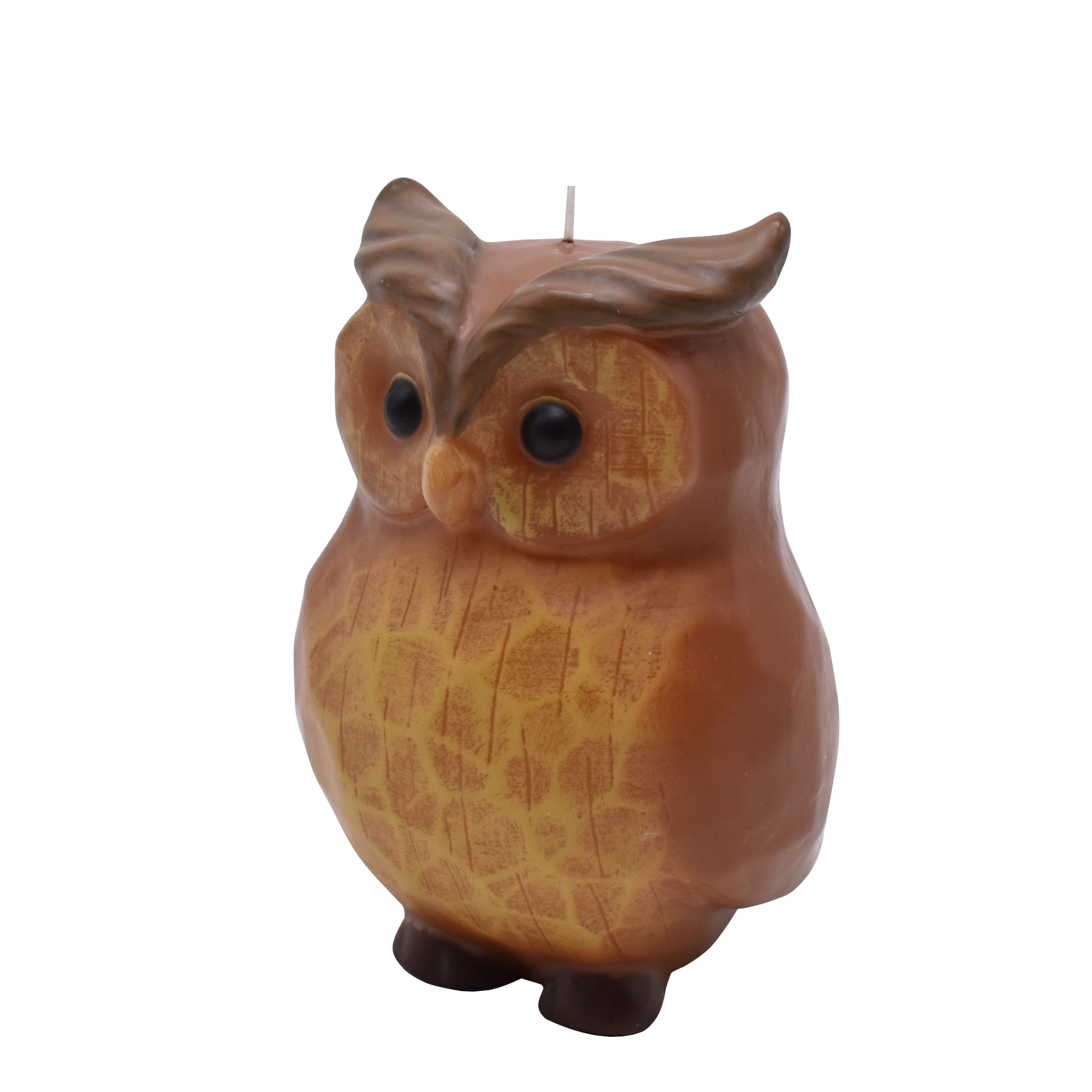 4.75&#x22; Owl Unscented Candle by Ashland&#xAE;