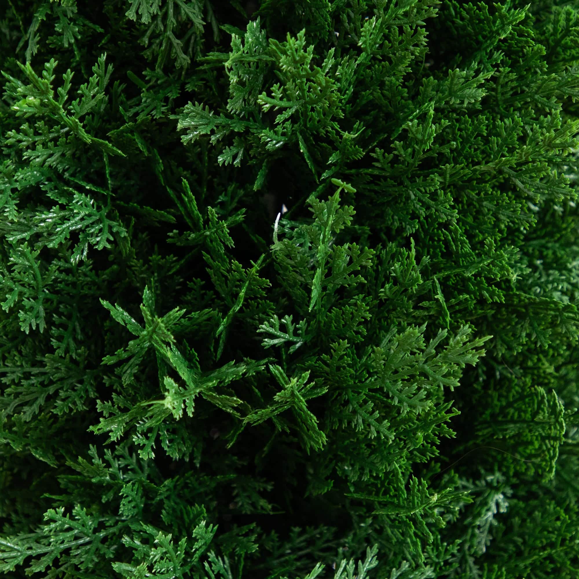 4ft. UV Resistant Artificial Cedar Plant with Integrated Ground Stake (Indoor/Outdoor) - Set of 2