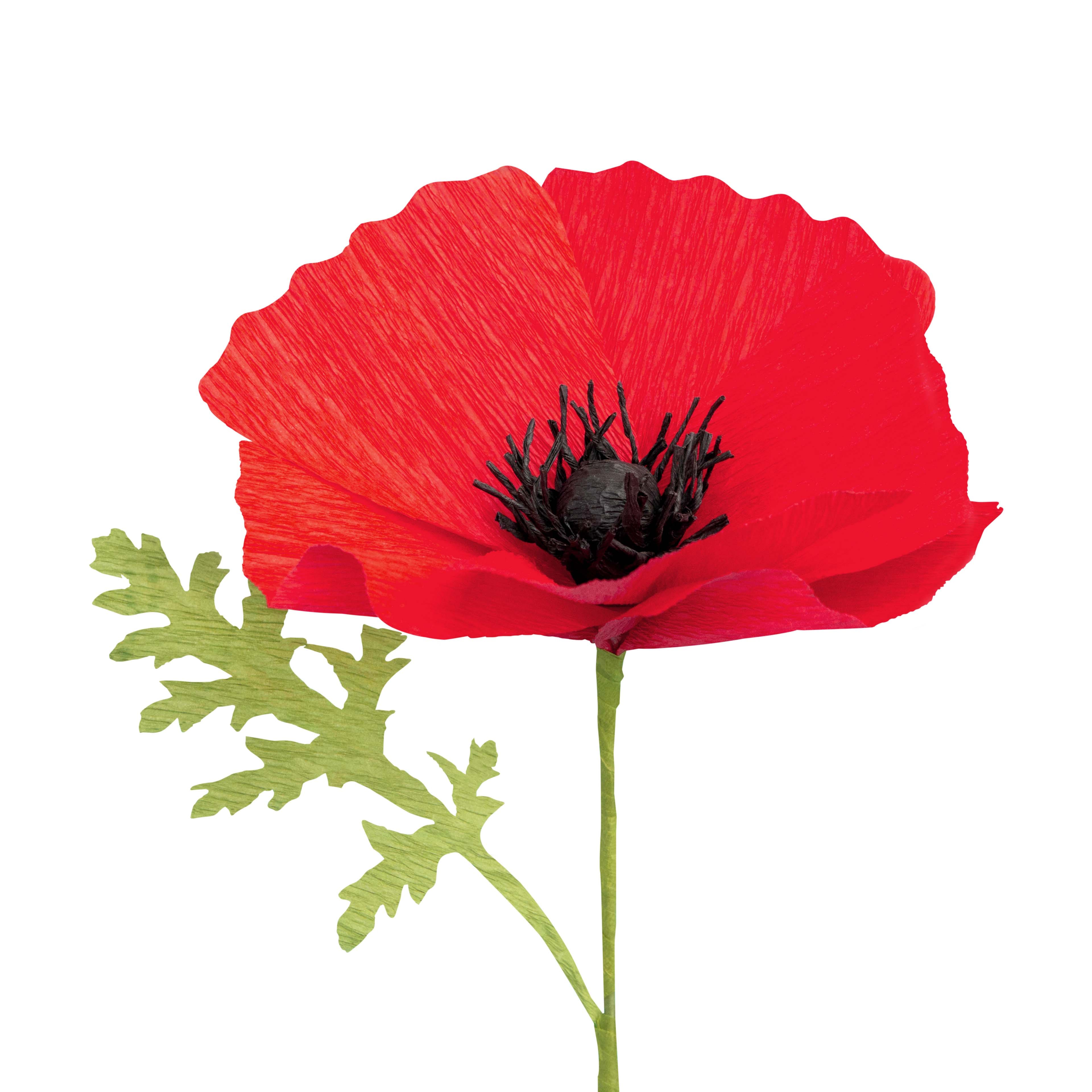 Small Poppy Crepe Paper Flower Kit by Recollections&#x2122;