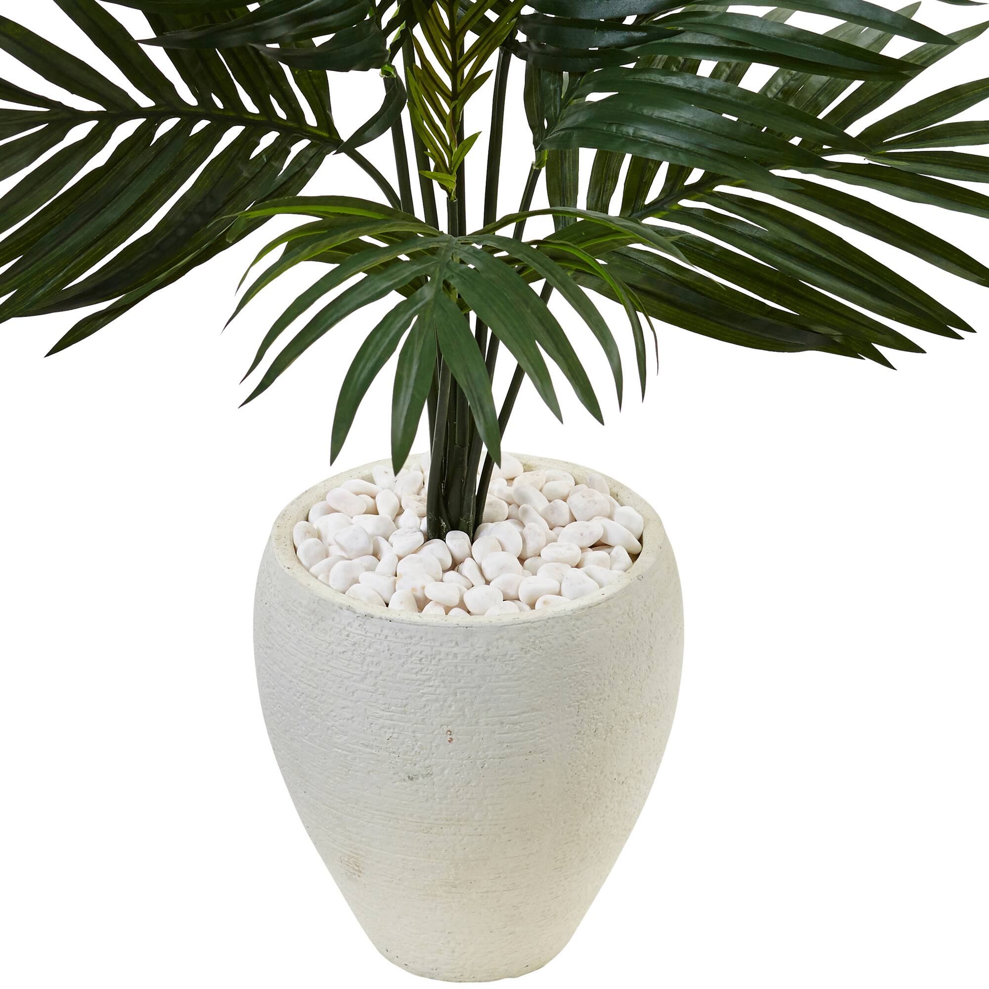 4.5ft. Kentia Palm Tree in White Oval Planter