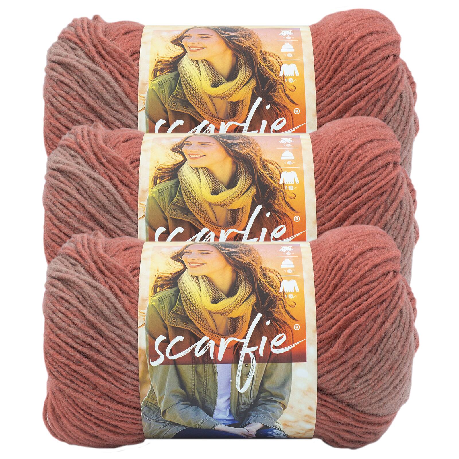 3 Pack Lion Brand Scarfie Yarn Michaels 3-pack-lion-brand-scarfie-yarn-michaels