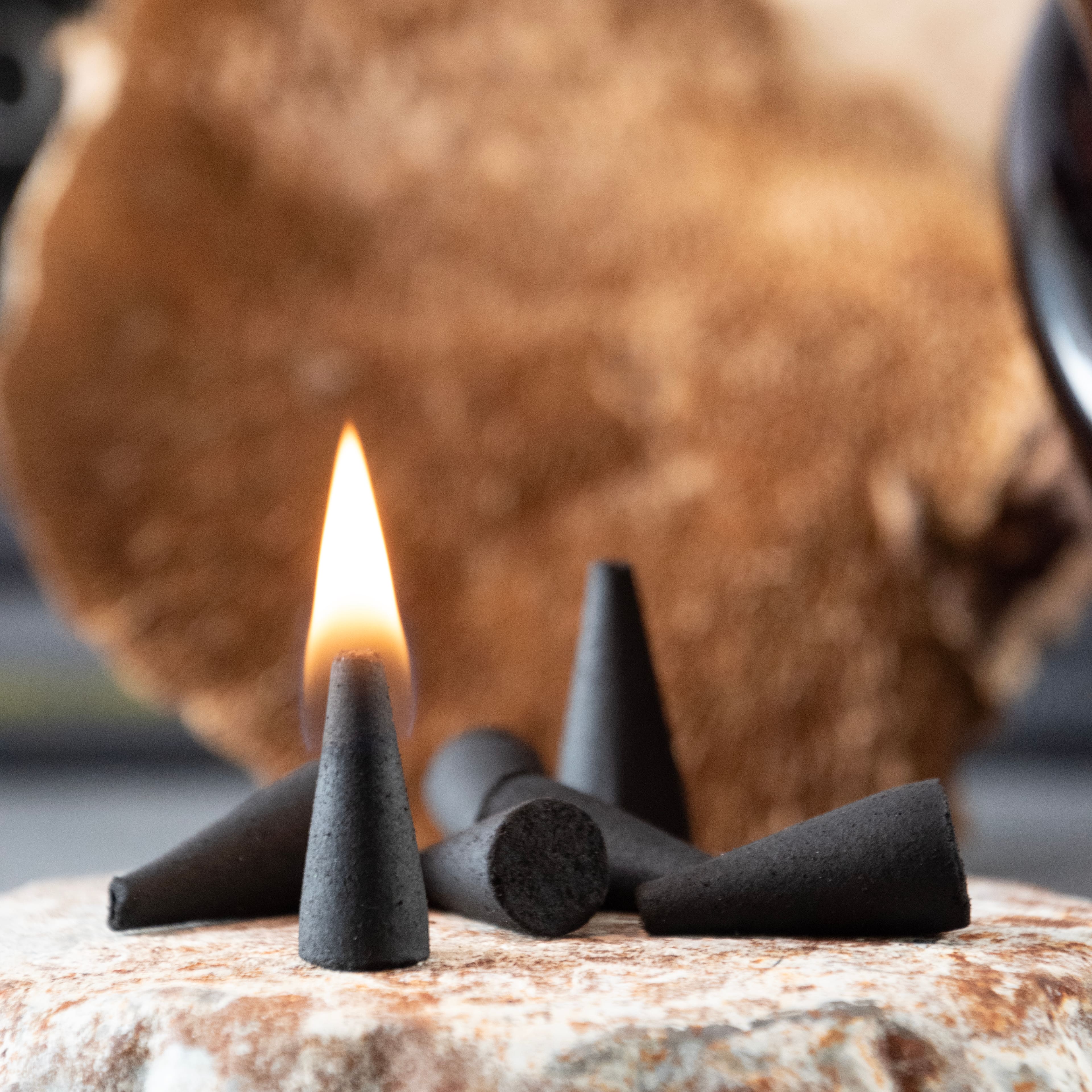 Midnight Woods Scented Incense Cones, 40ct. by Ashland&#xAE;