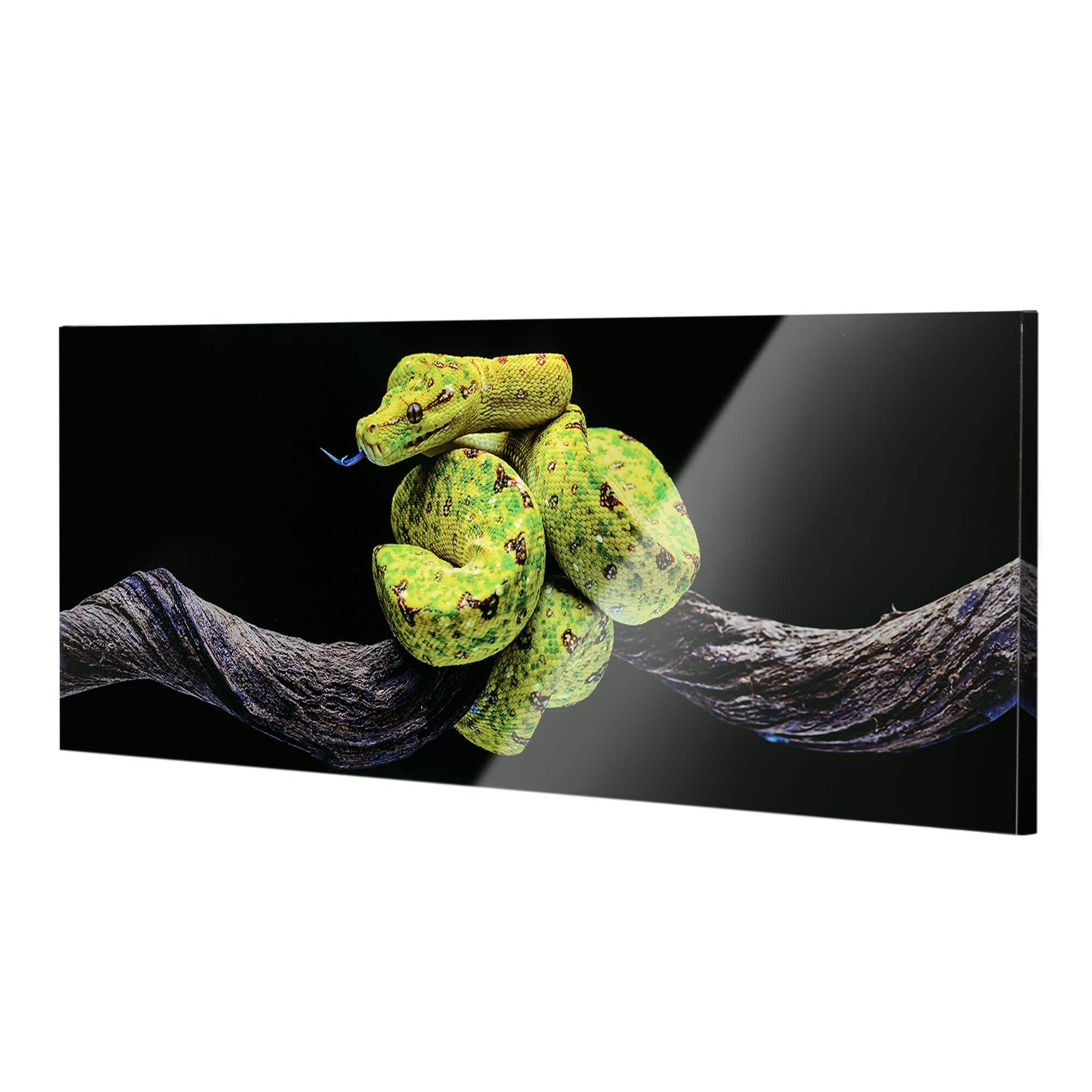 48" Green Tree Snake Glossy Lacquer Wall Art