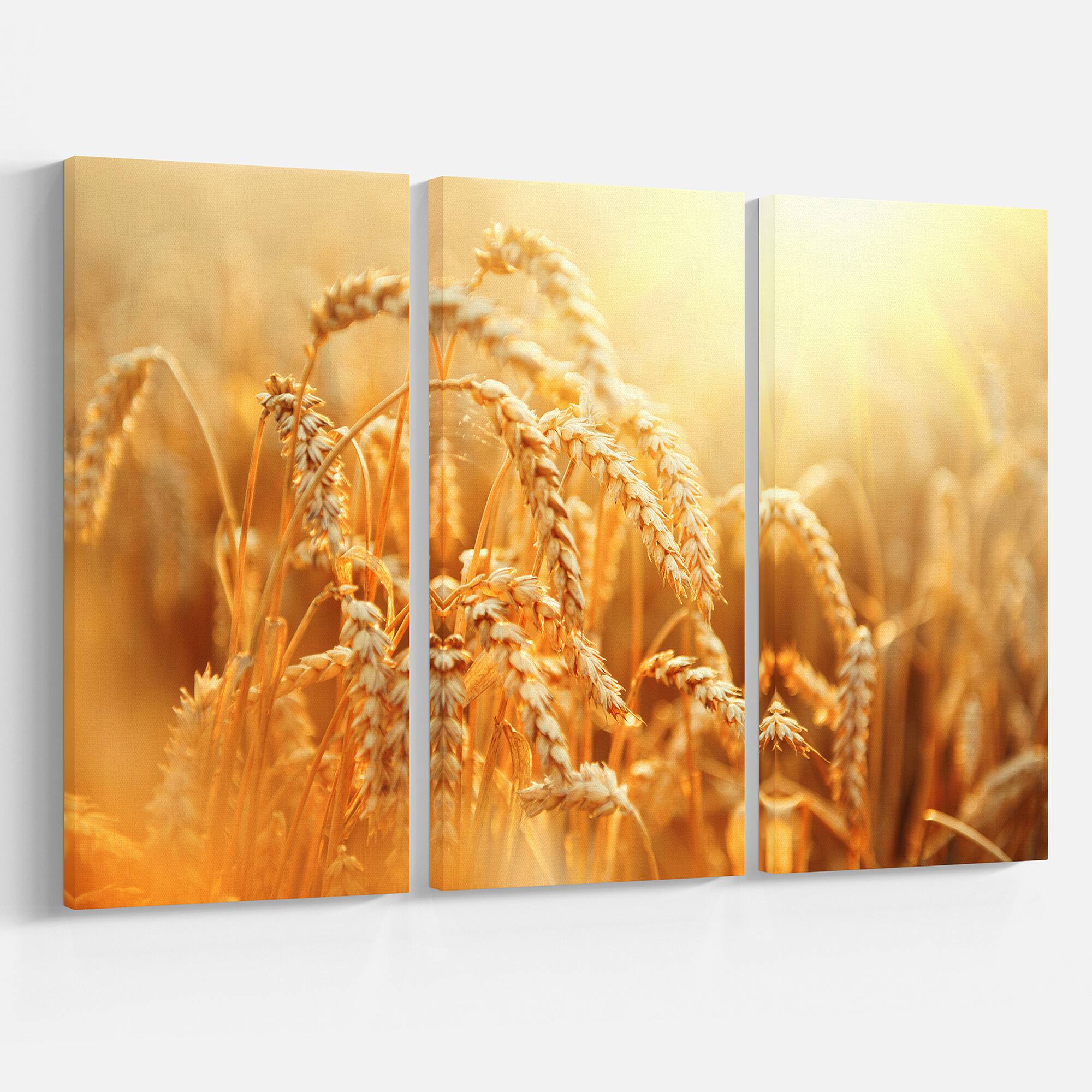 Designart - Ears of Golden Wheat Close up - Large Landscape Canvas Art