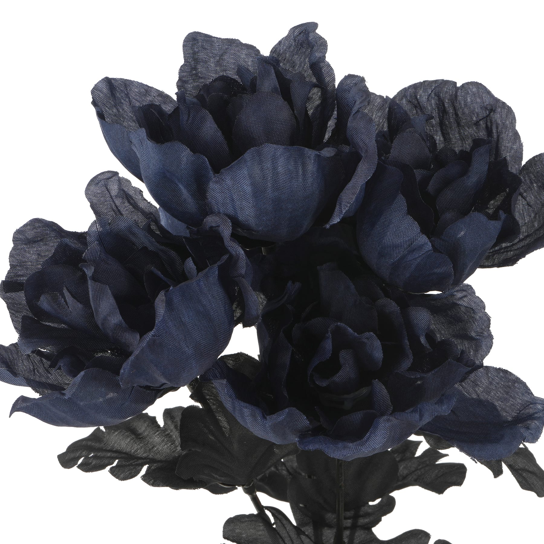 Halloween Peony Bush by Ashland&#xAE;