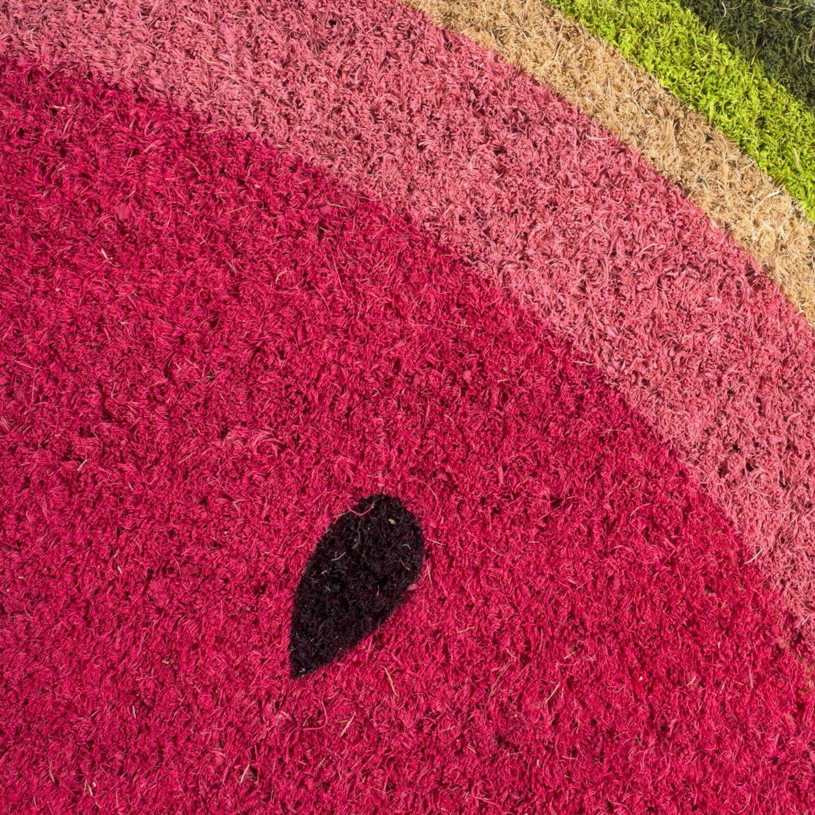 DII&#xAE; Watermelon Doormat