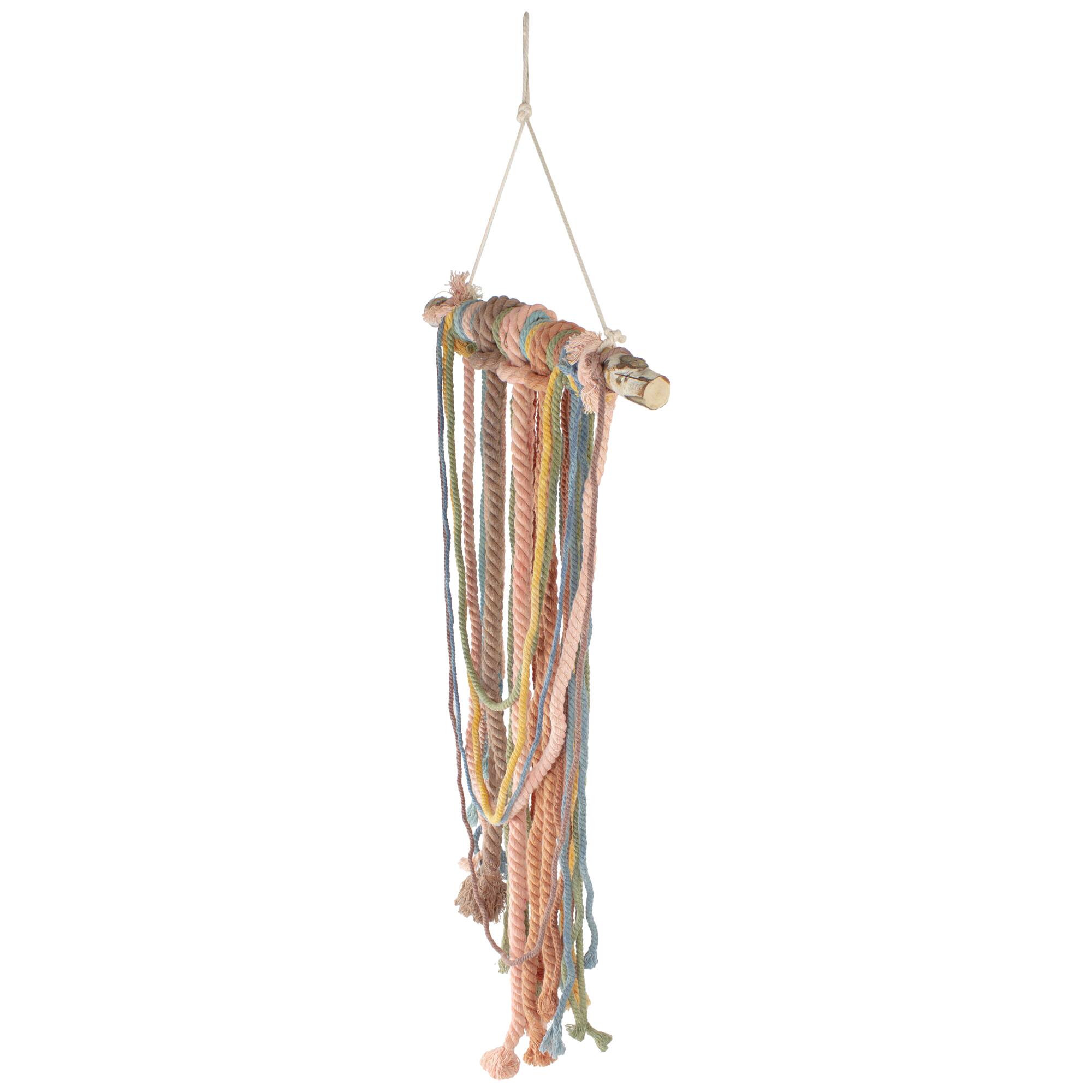 2.5ft. Rustic Knotted Rope Shade on Birch Branch Wall Art