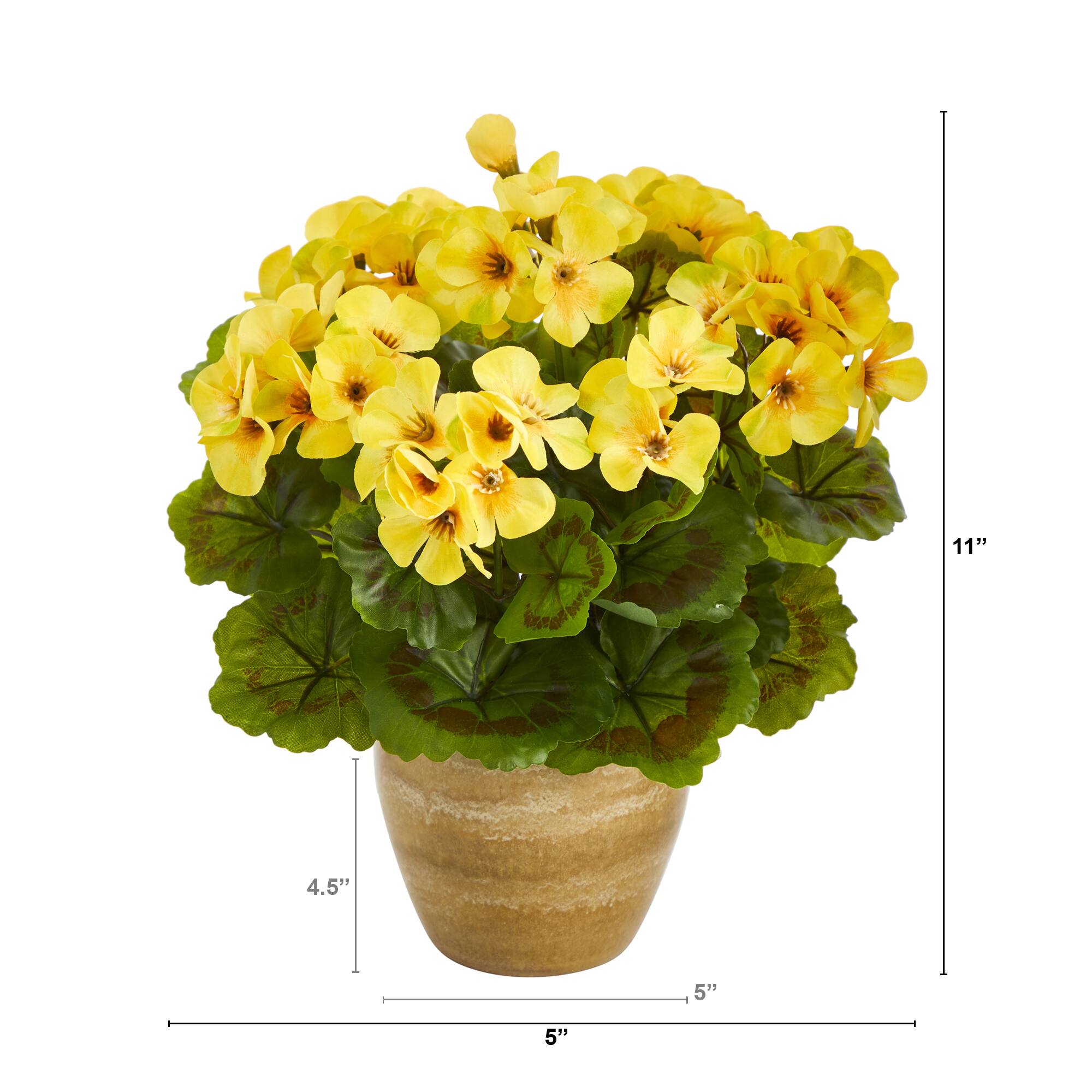 11" Yellow Geranium in Ceramic Planter