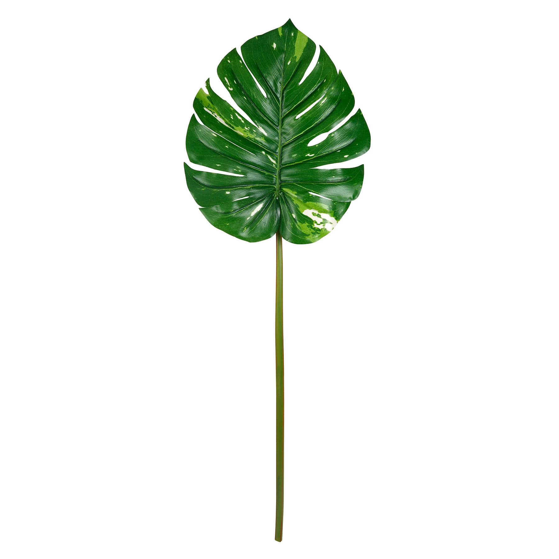 12 Pack: Monstera Leaf Stem by Ashland&#xAE;