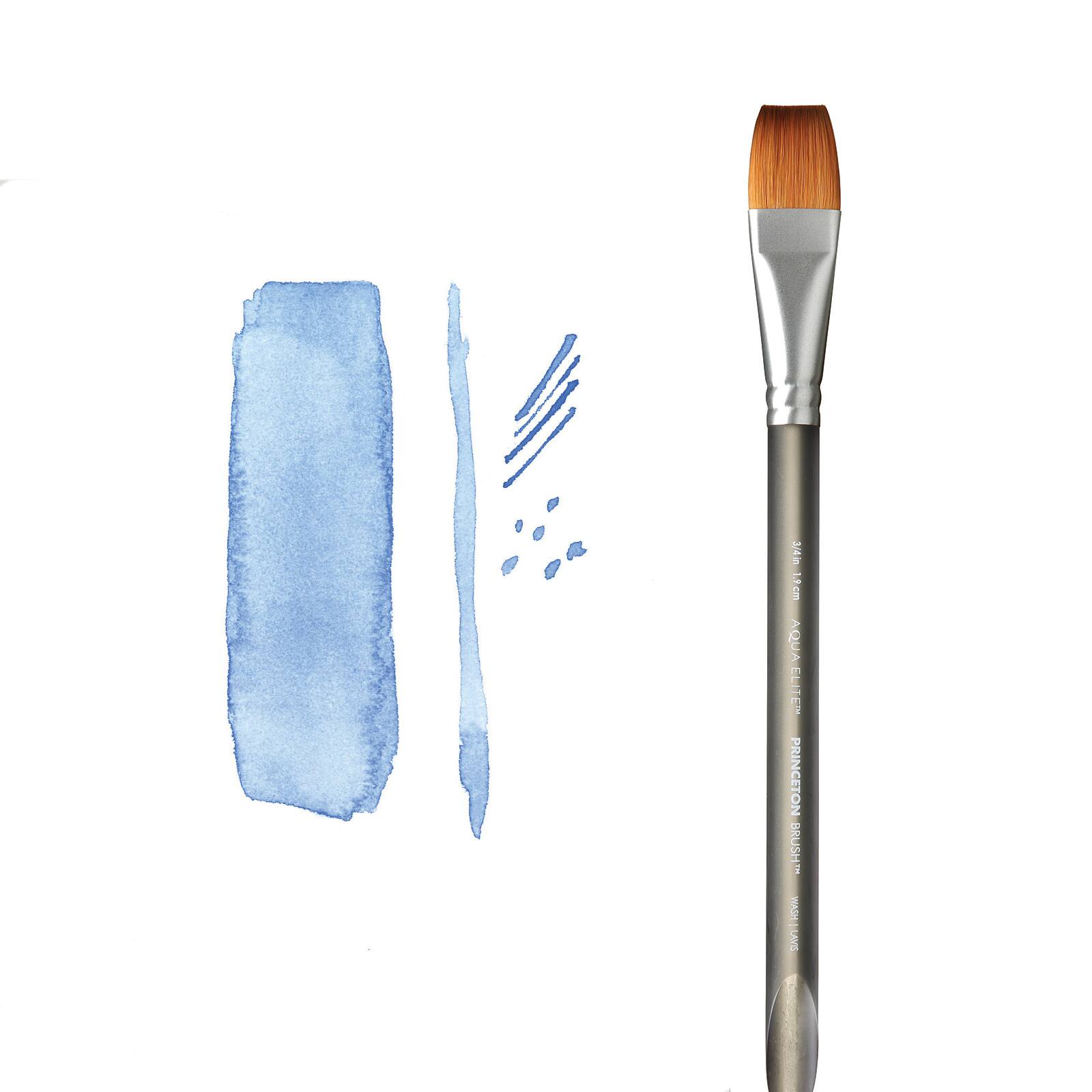 12 Pack: Princeton™ Aqua Elite™ 4850 Short Handle Wash Brush