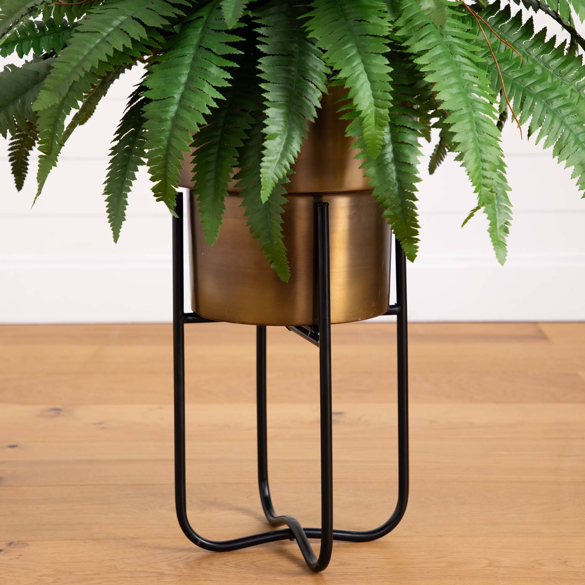 3ft. Boston Fern in Brass Metal Planter with Stand