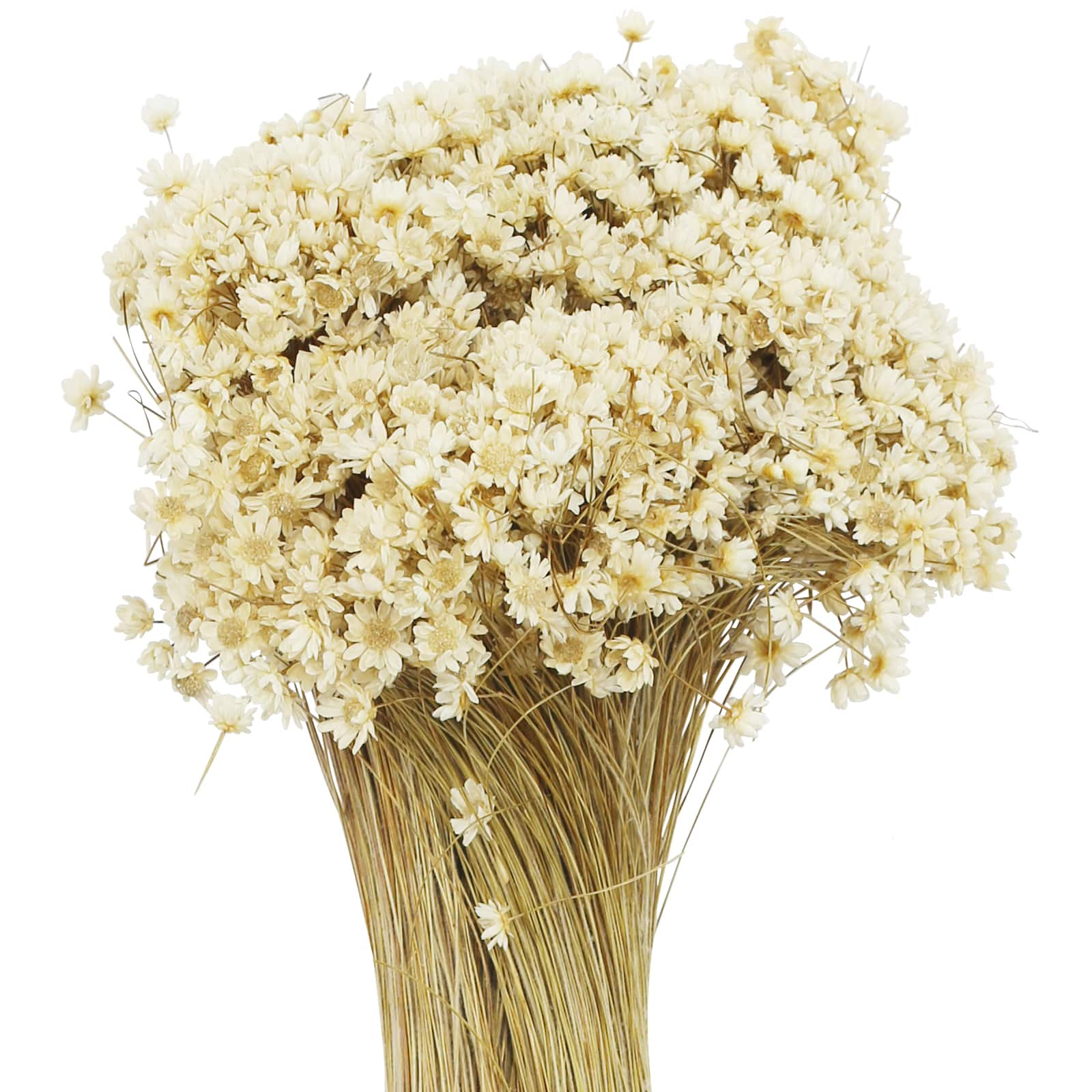 13&#x22; Natural Campo Flowers by Ashland&#xAE;