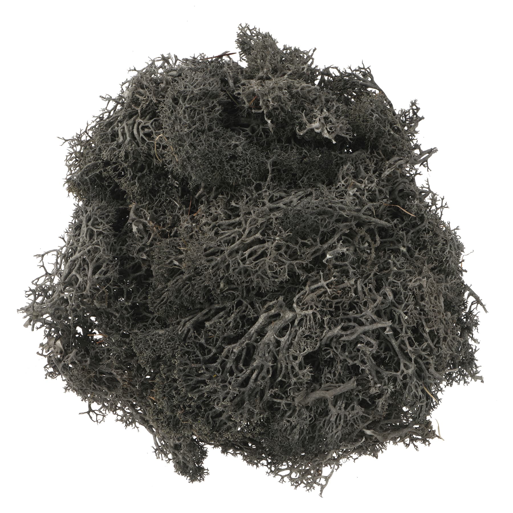 1.7oz. Moss Bag by Ashland&#xAE;