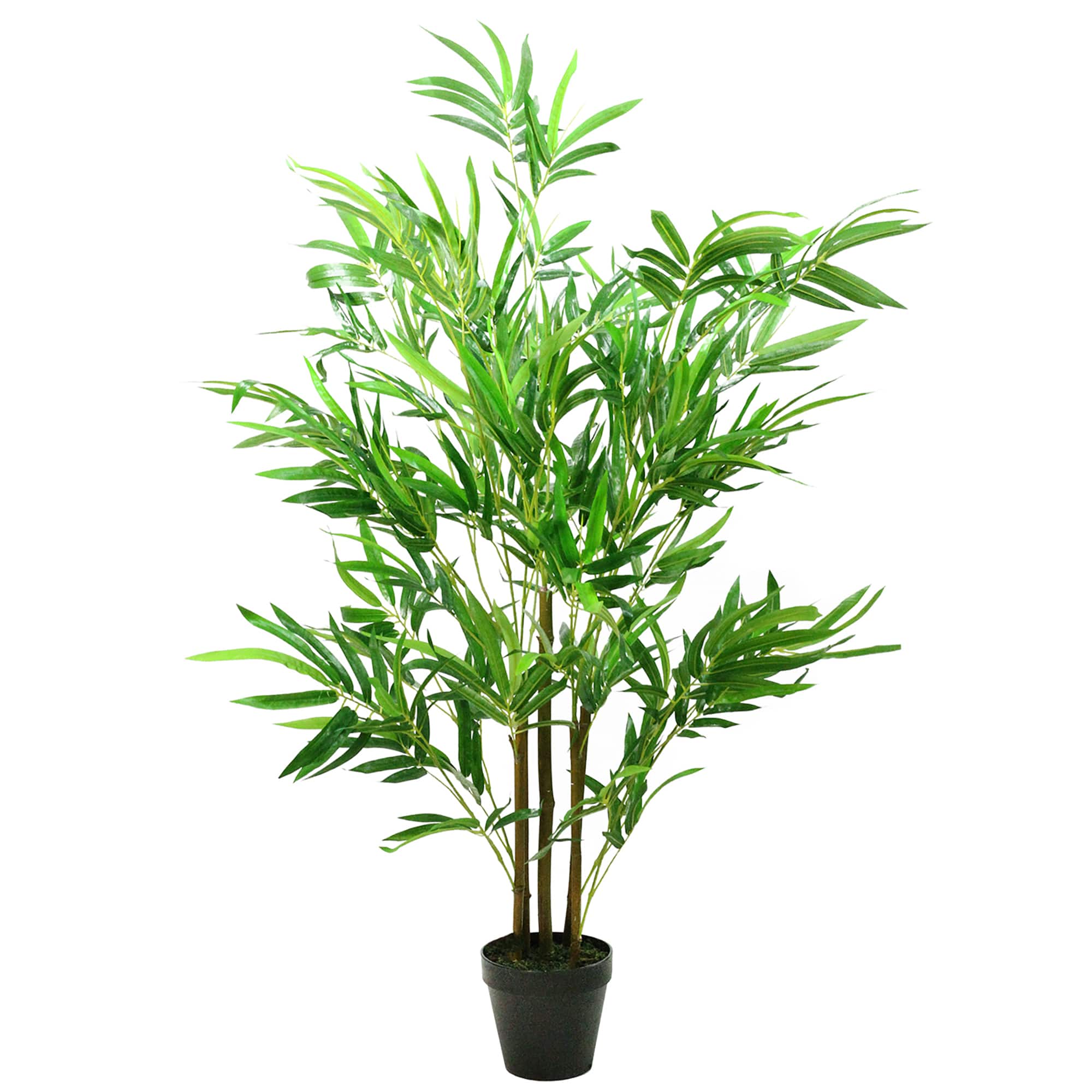 4ft. Two-Tone Green Potted Bamboo Plant