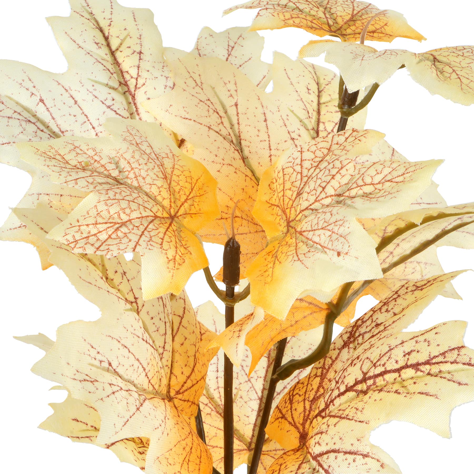 10.5&#x22; Cream Maple Leaf Bundle by Ashland&#xAE;