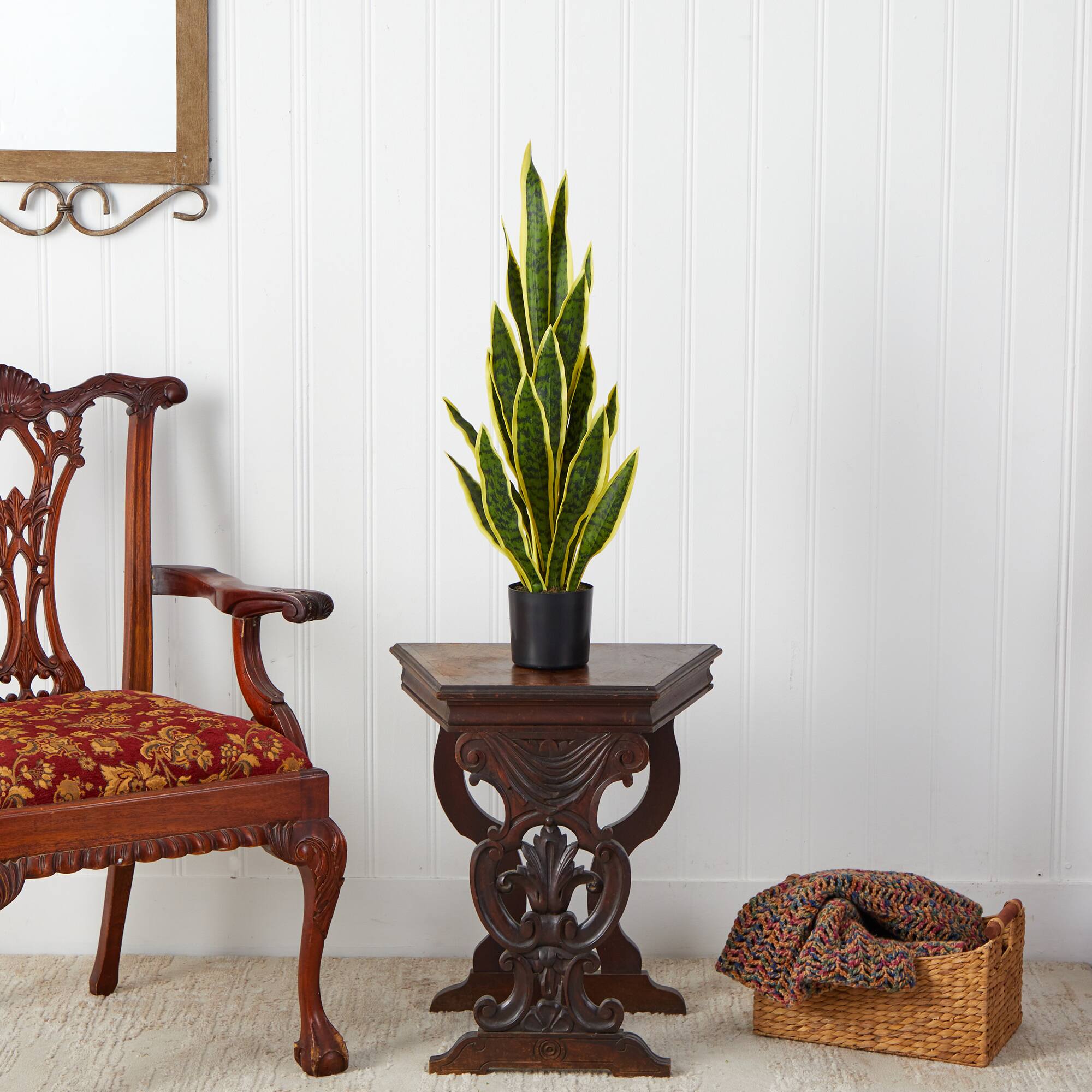 2.5ft. Potted Variegated Snake Plant