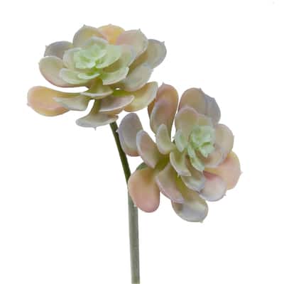 9.5" Pink & Purple Aeonium Pick by Ashland® image