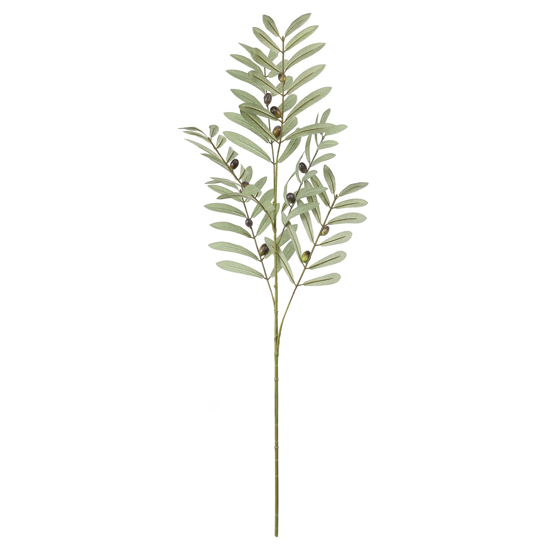36" Olive Berry Branch by Ashland®