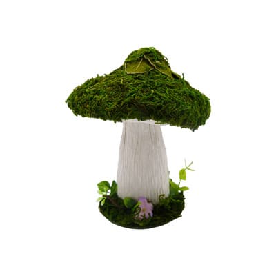 Decorative Moss for sale