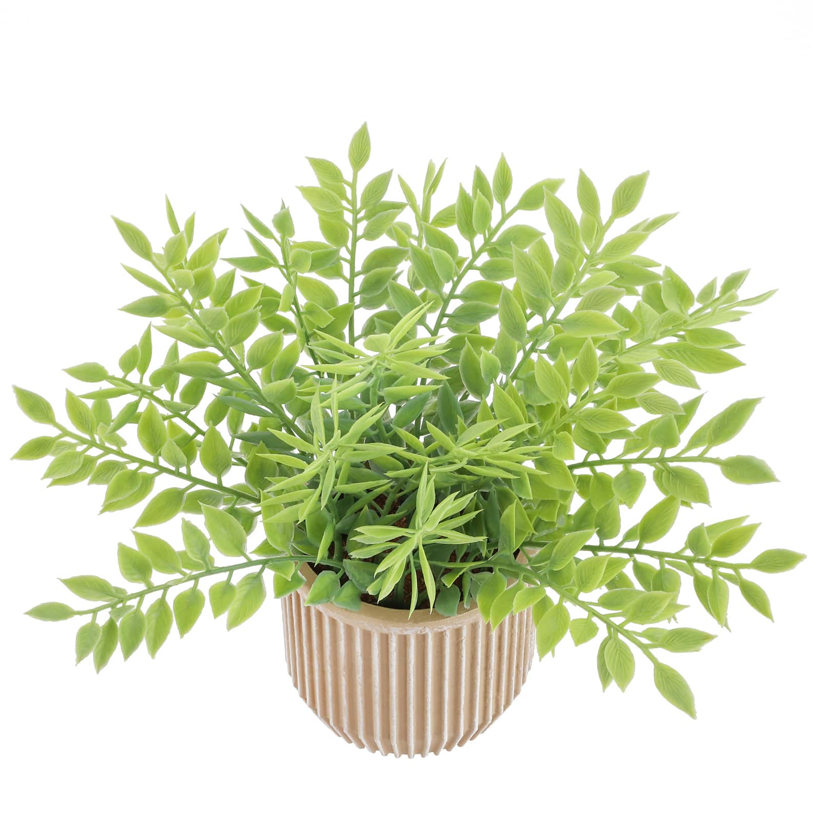 9&#x22; Green Smilax Plant in Paper Pot by Ashland&#xAE;
