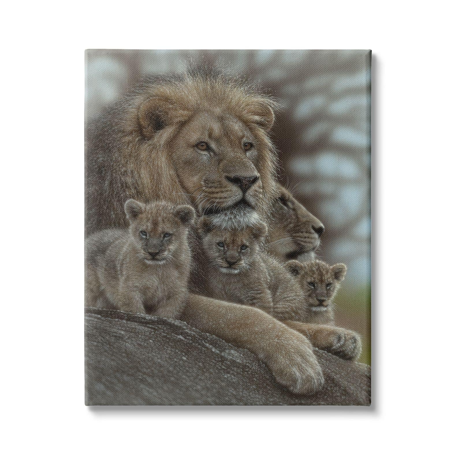 Stupell Industries King Lion Baby Cubs Wild Safari Animal Family Canvas Wall Art