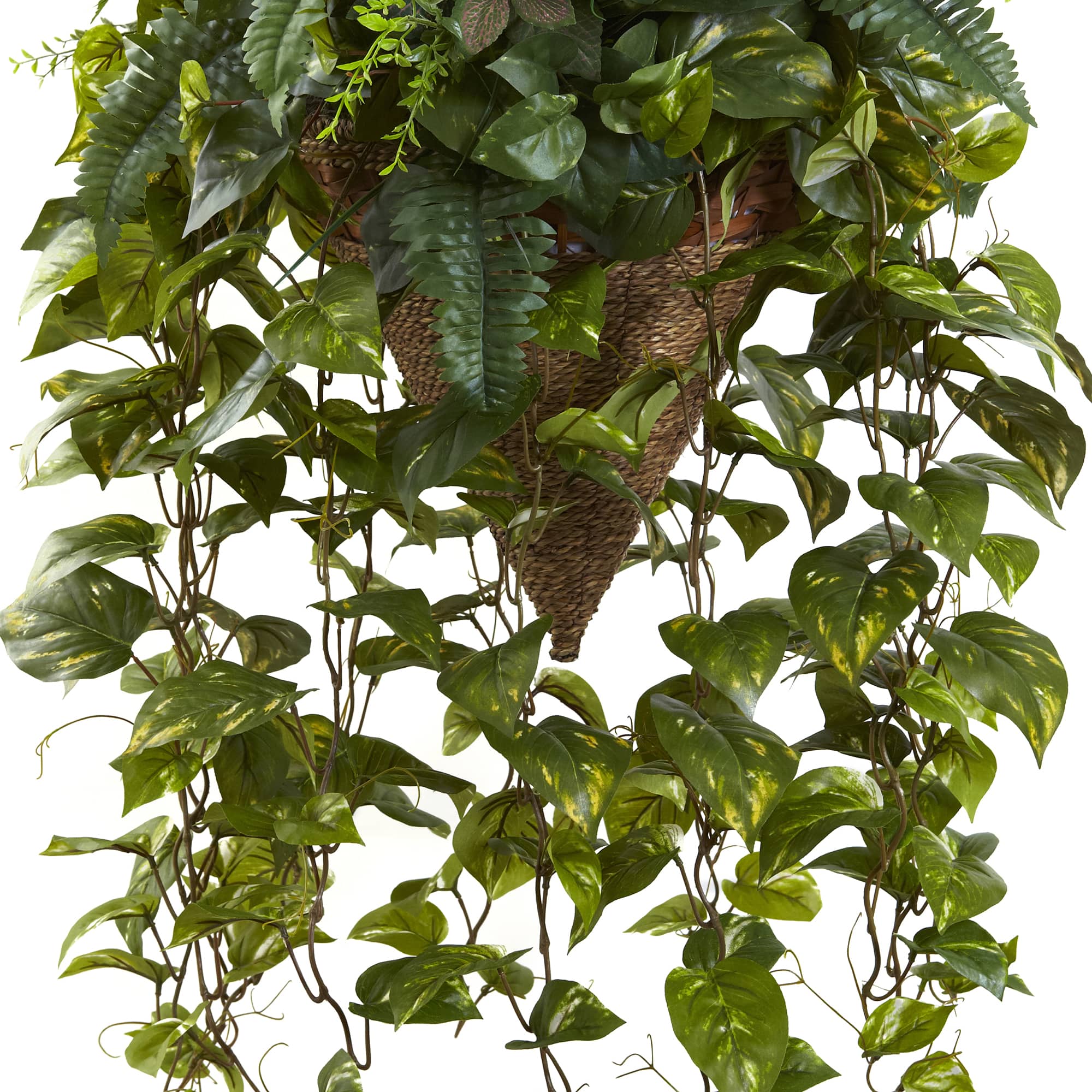 3ft. Mixed Green Vines in Cone Hanging Basket