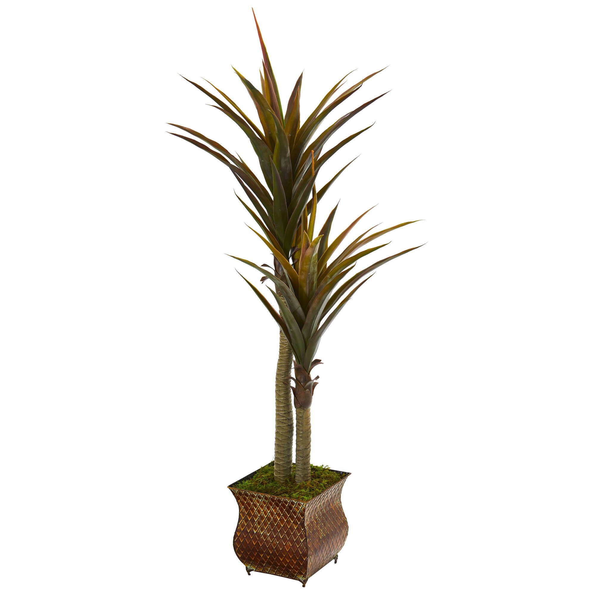 5ft. Green Yucca Tree in Decorative Planter