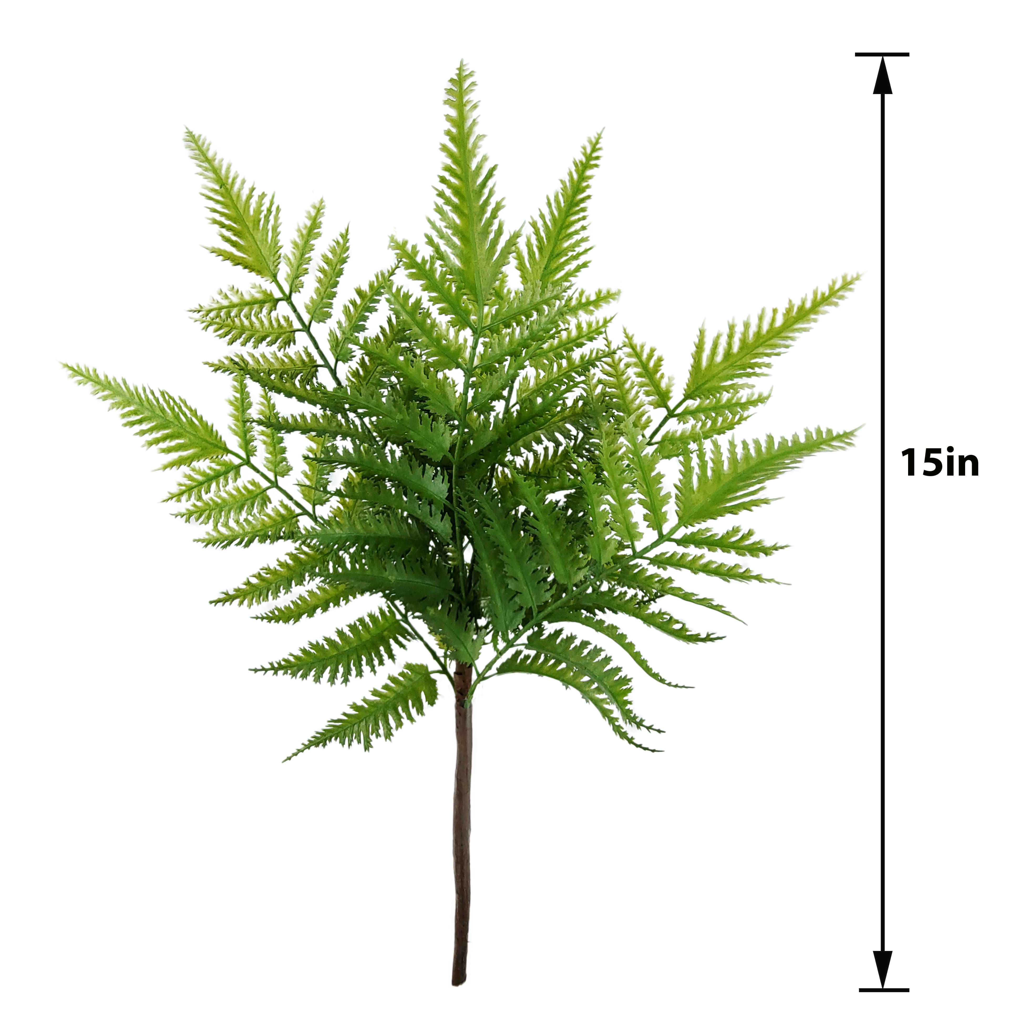 15&#x22; Green Fern Bush by Ashland&#xAE;