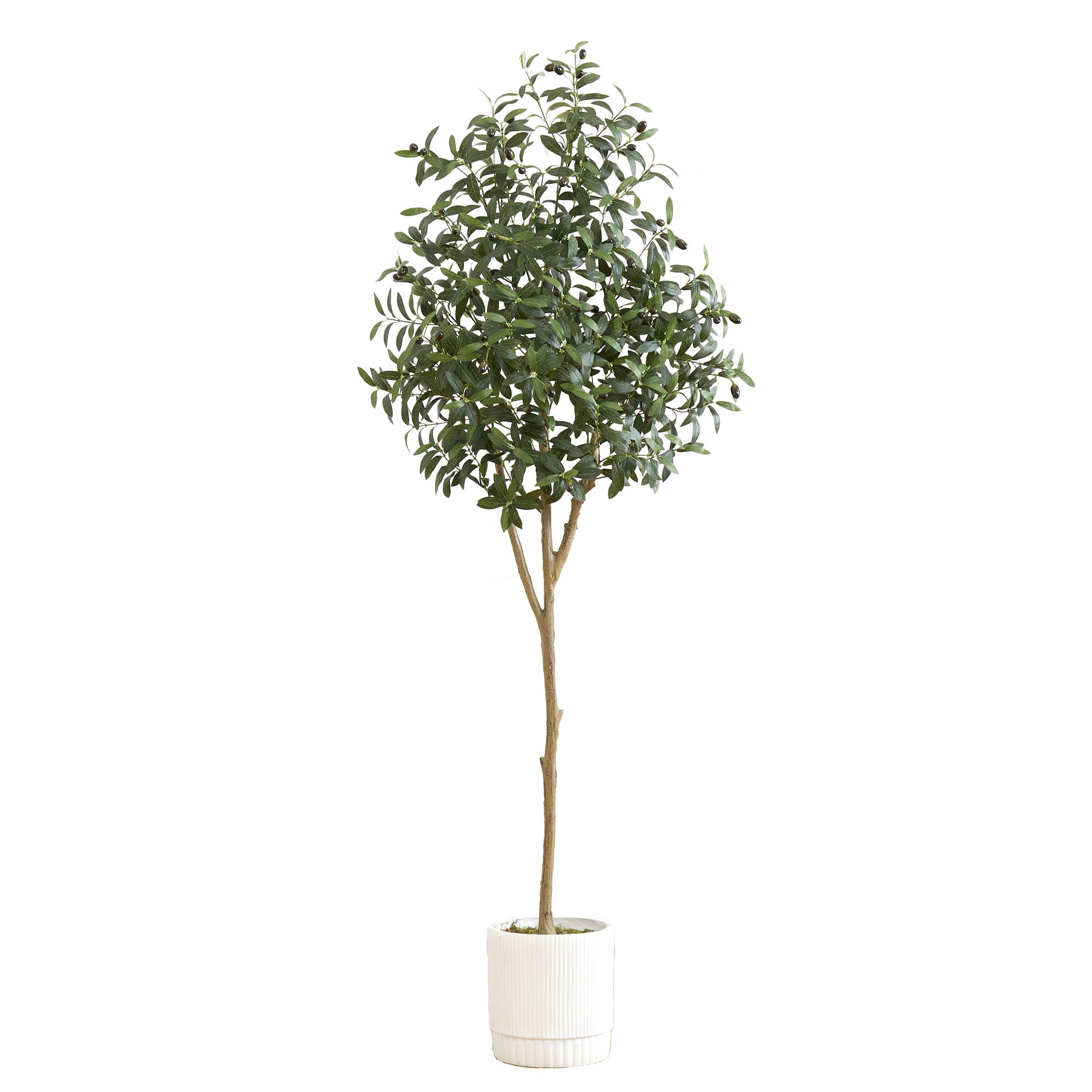 6ft. Artificial Olive Tree with White Decorative Planter