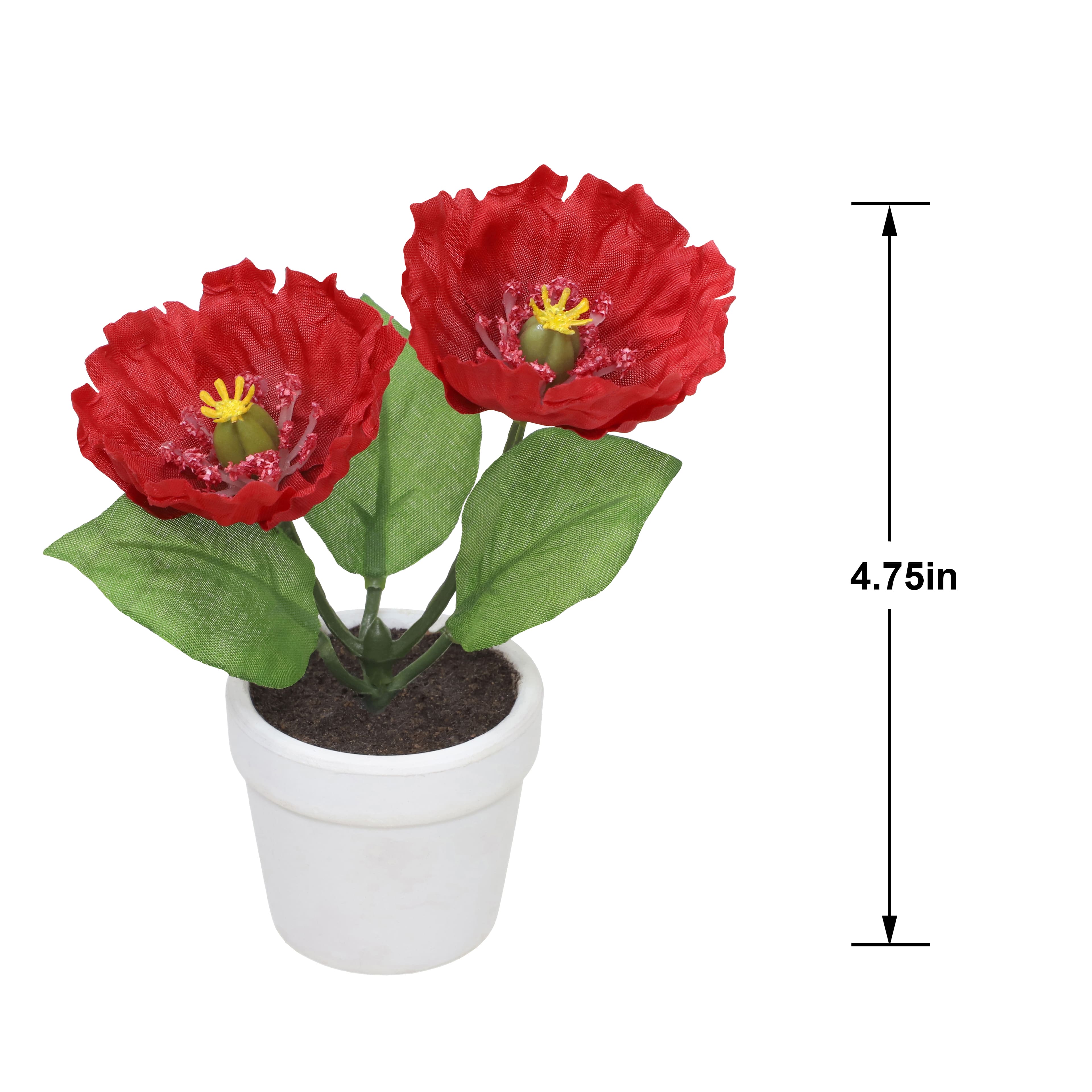 4&#x22; Red Poppy Arrangement in White Container by Ashland&#xAE;